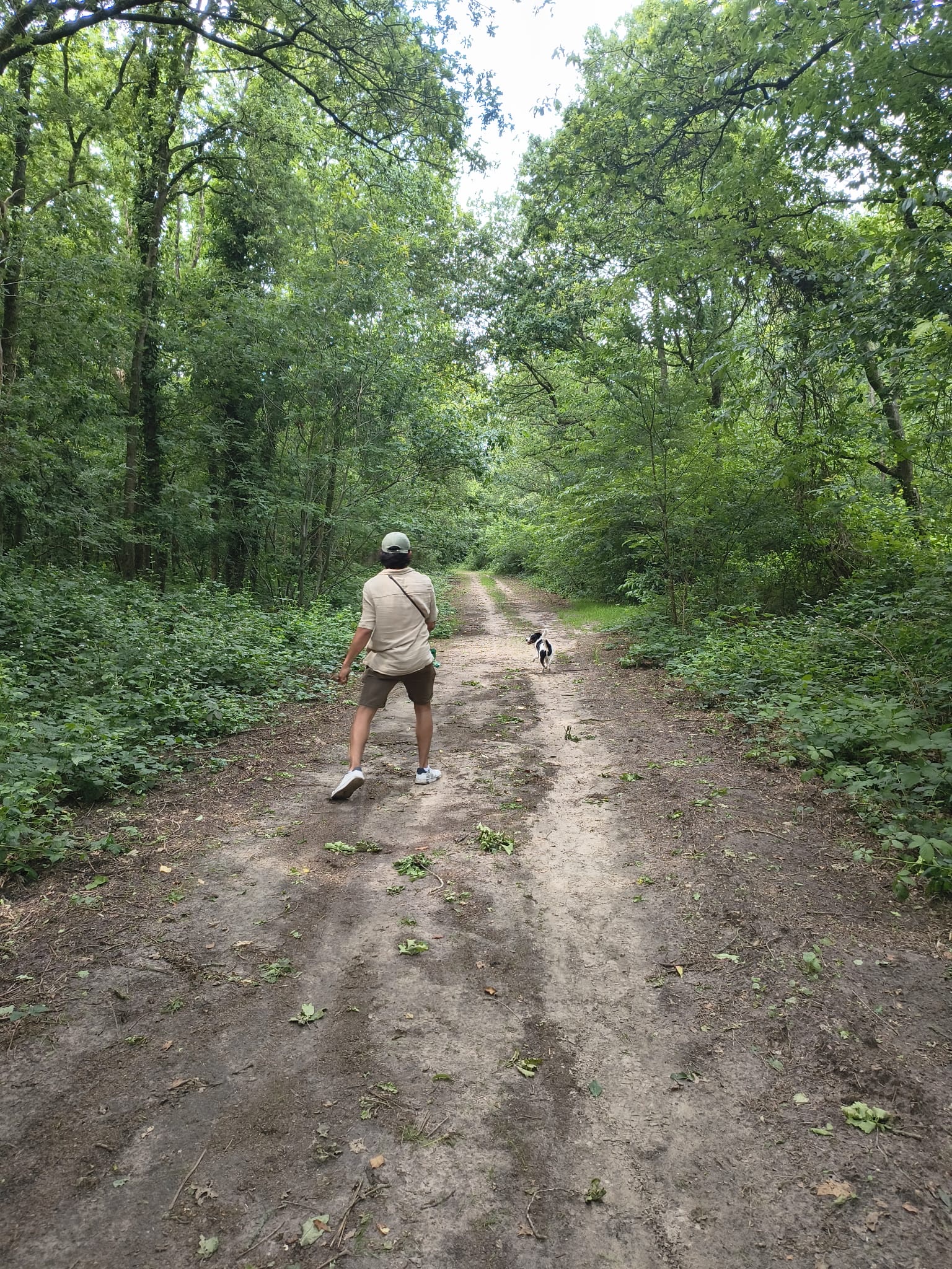 image-5
