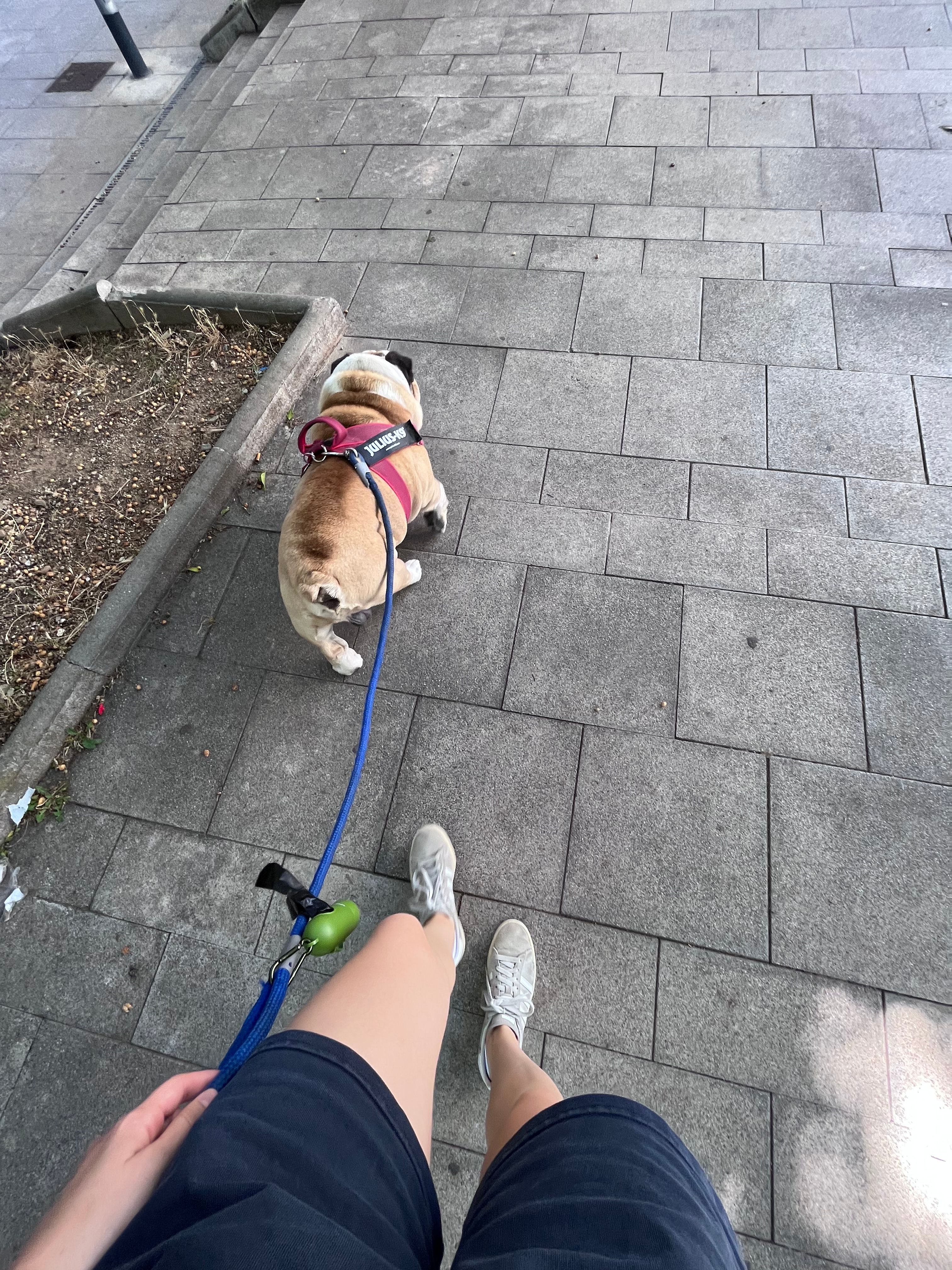 image-11