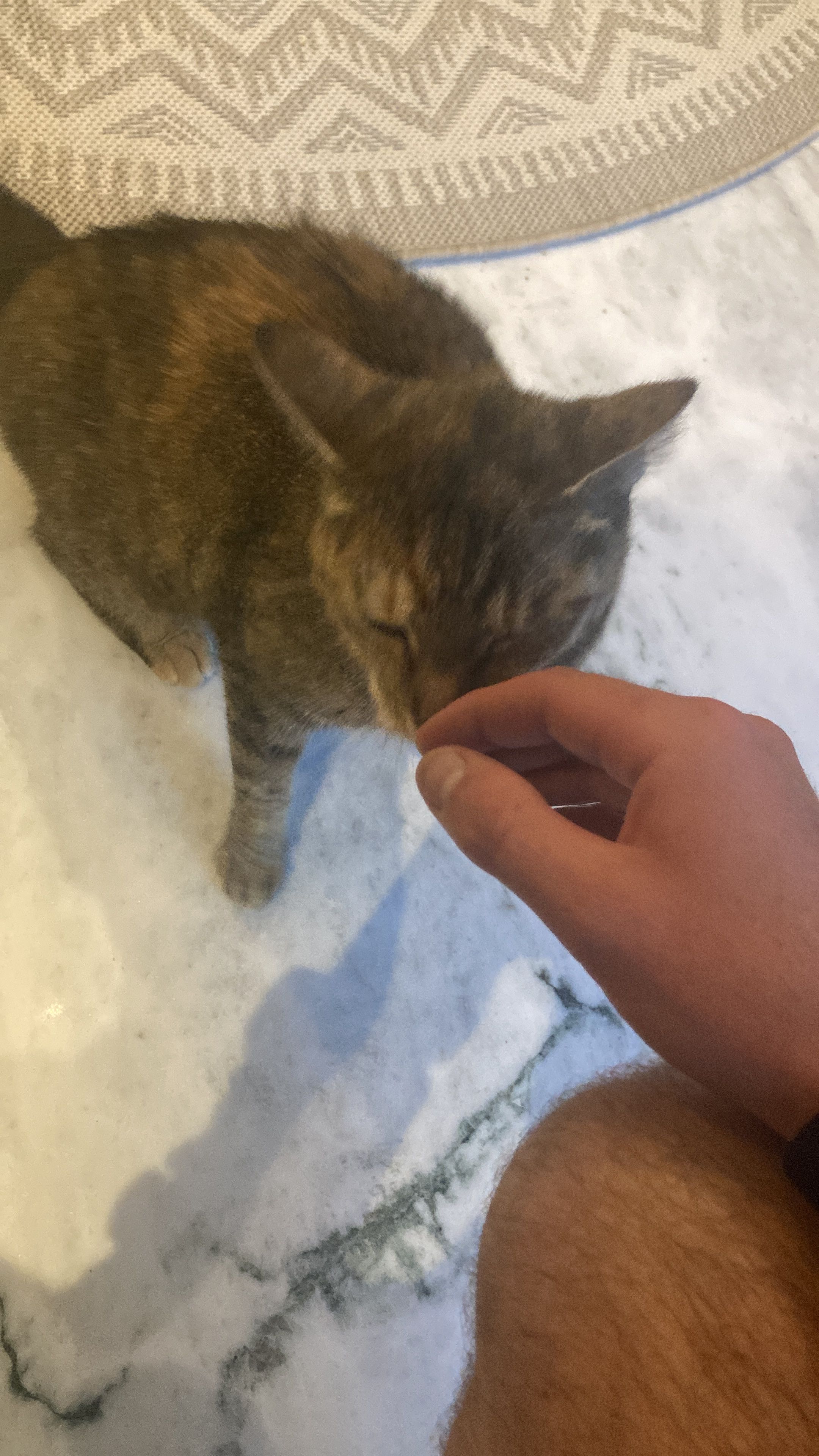 image-5