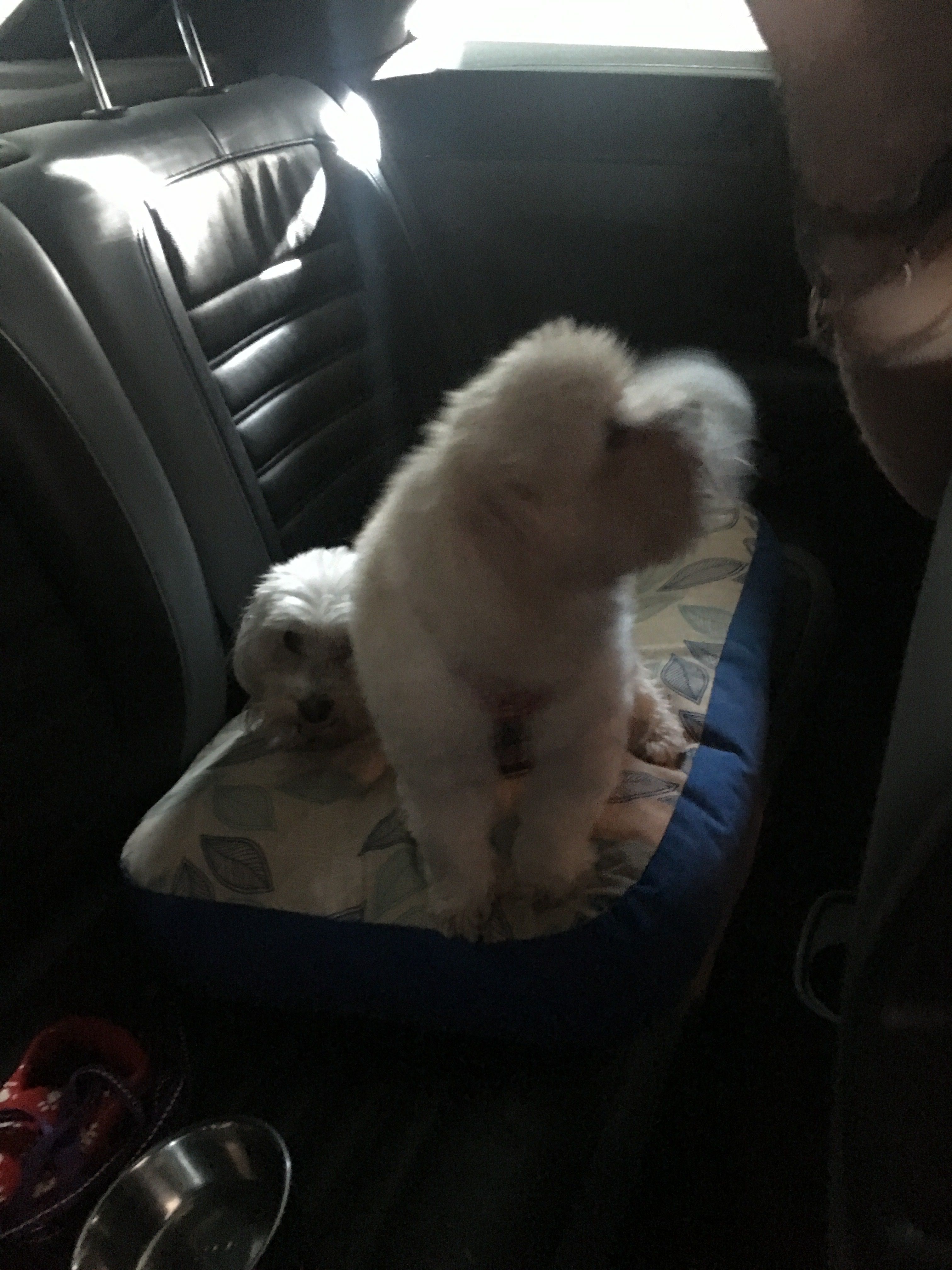 image-7