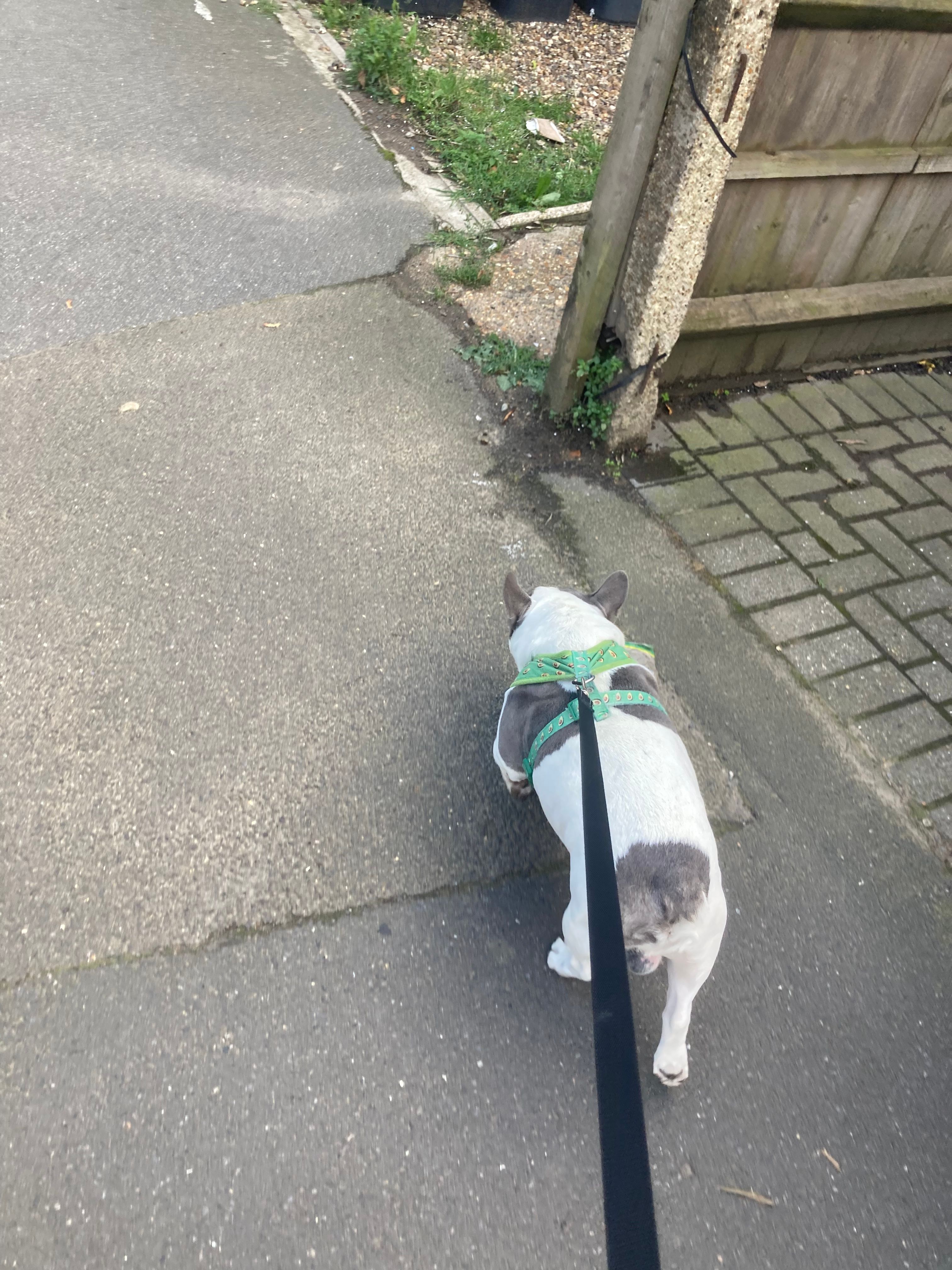 image-9