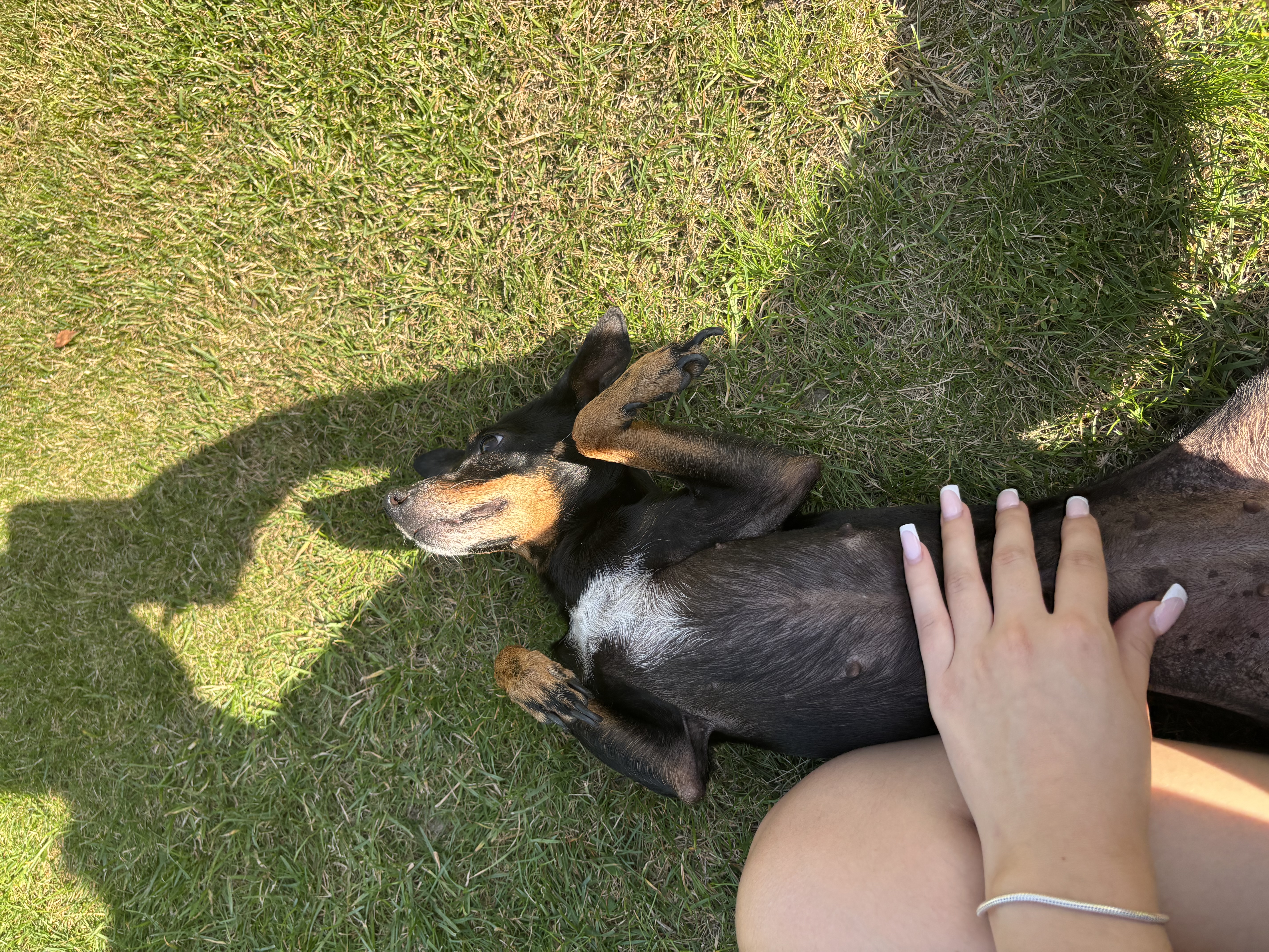 image-8