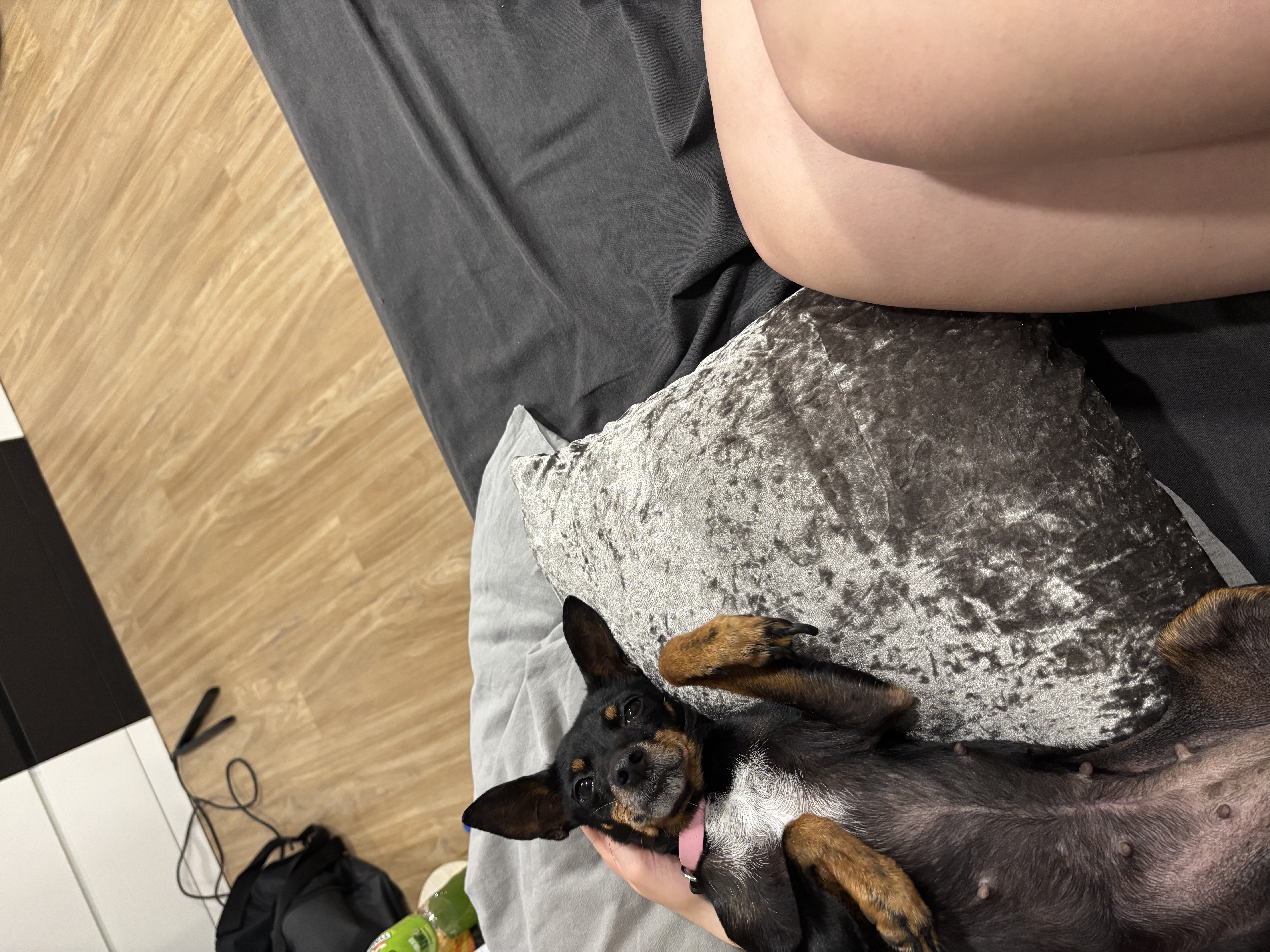 image-6