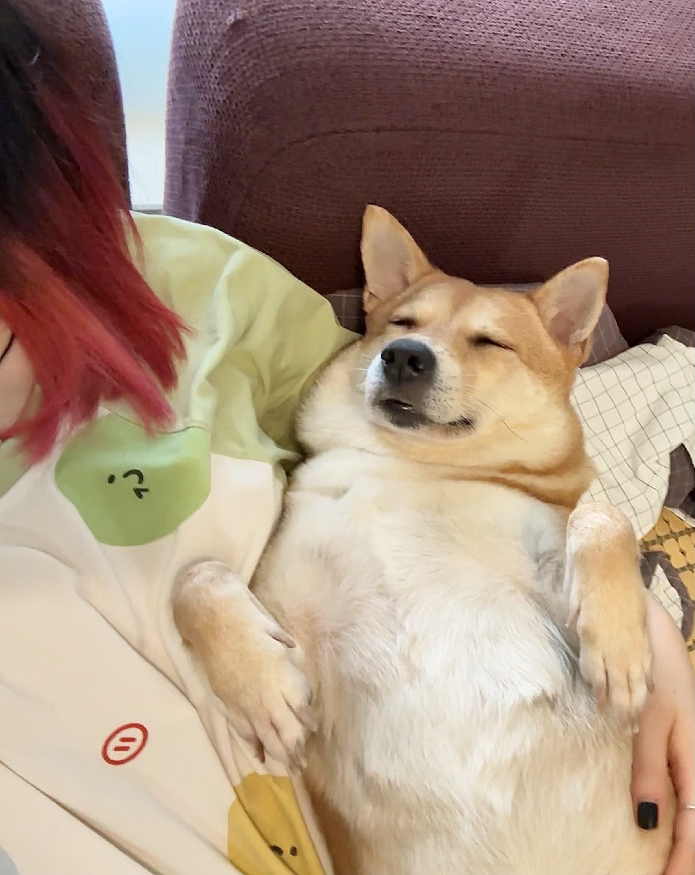 image-7