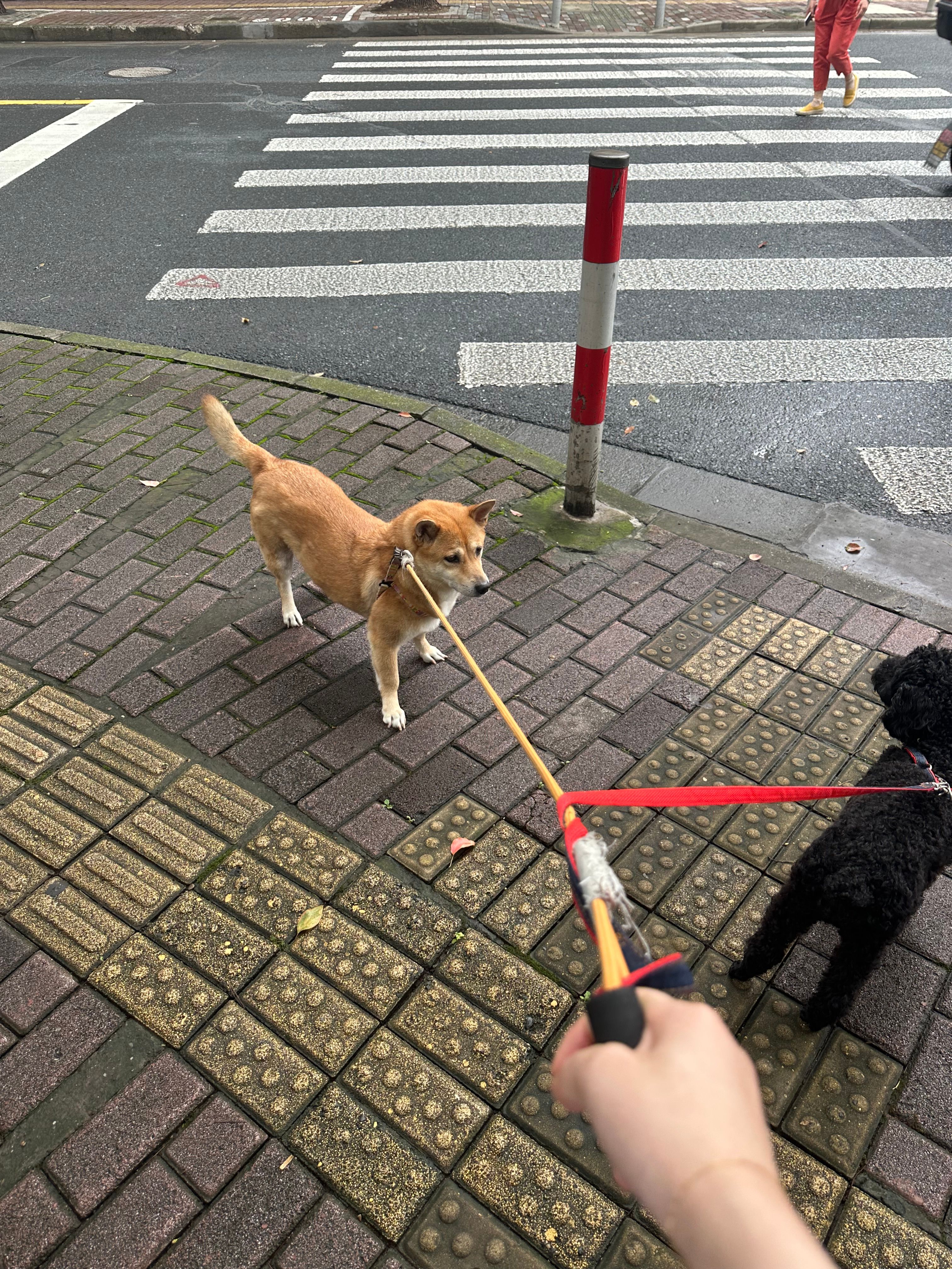 image-18
