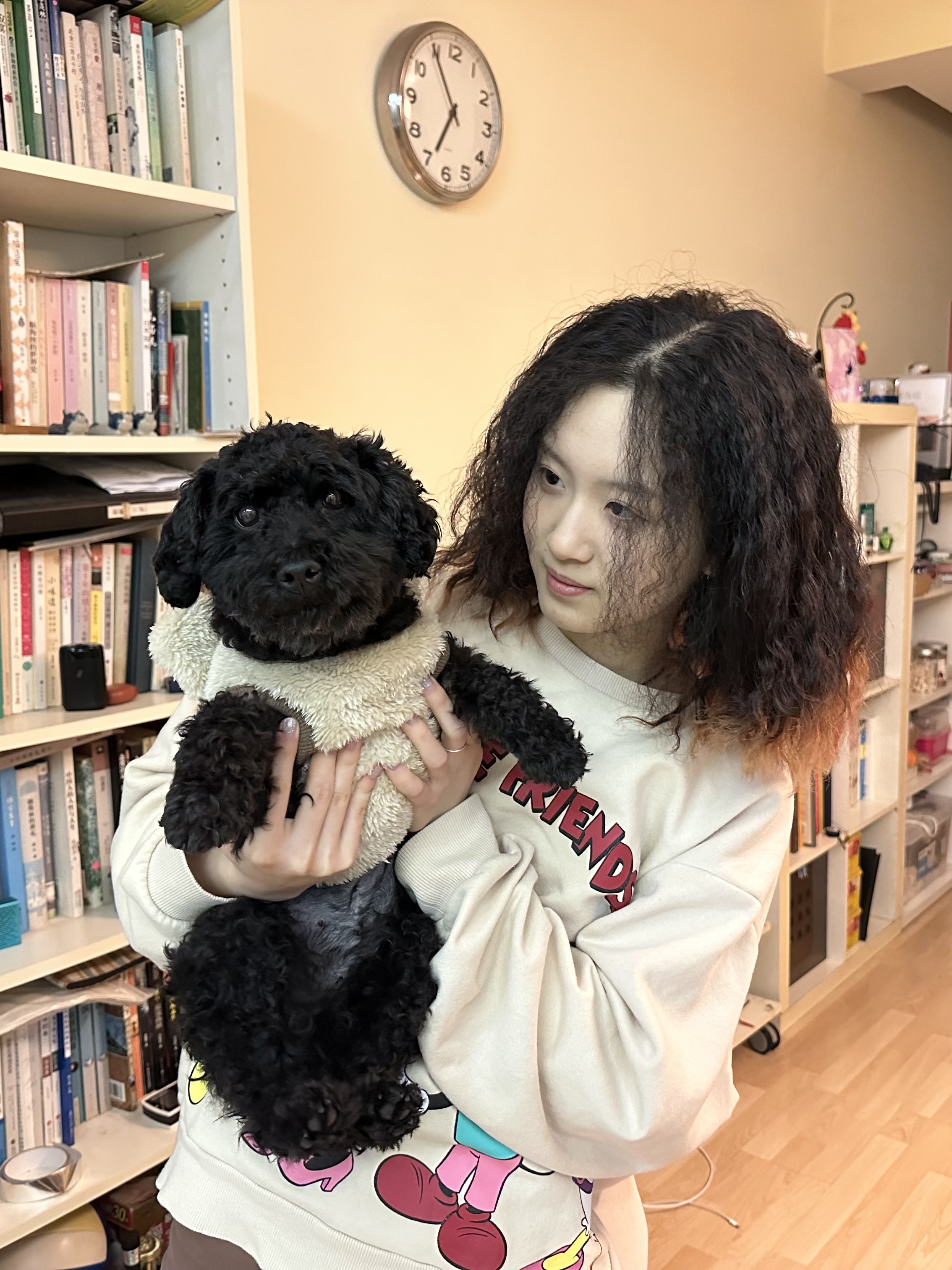 image-22