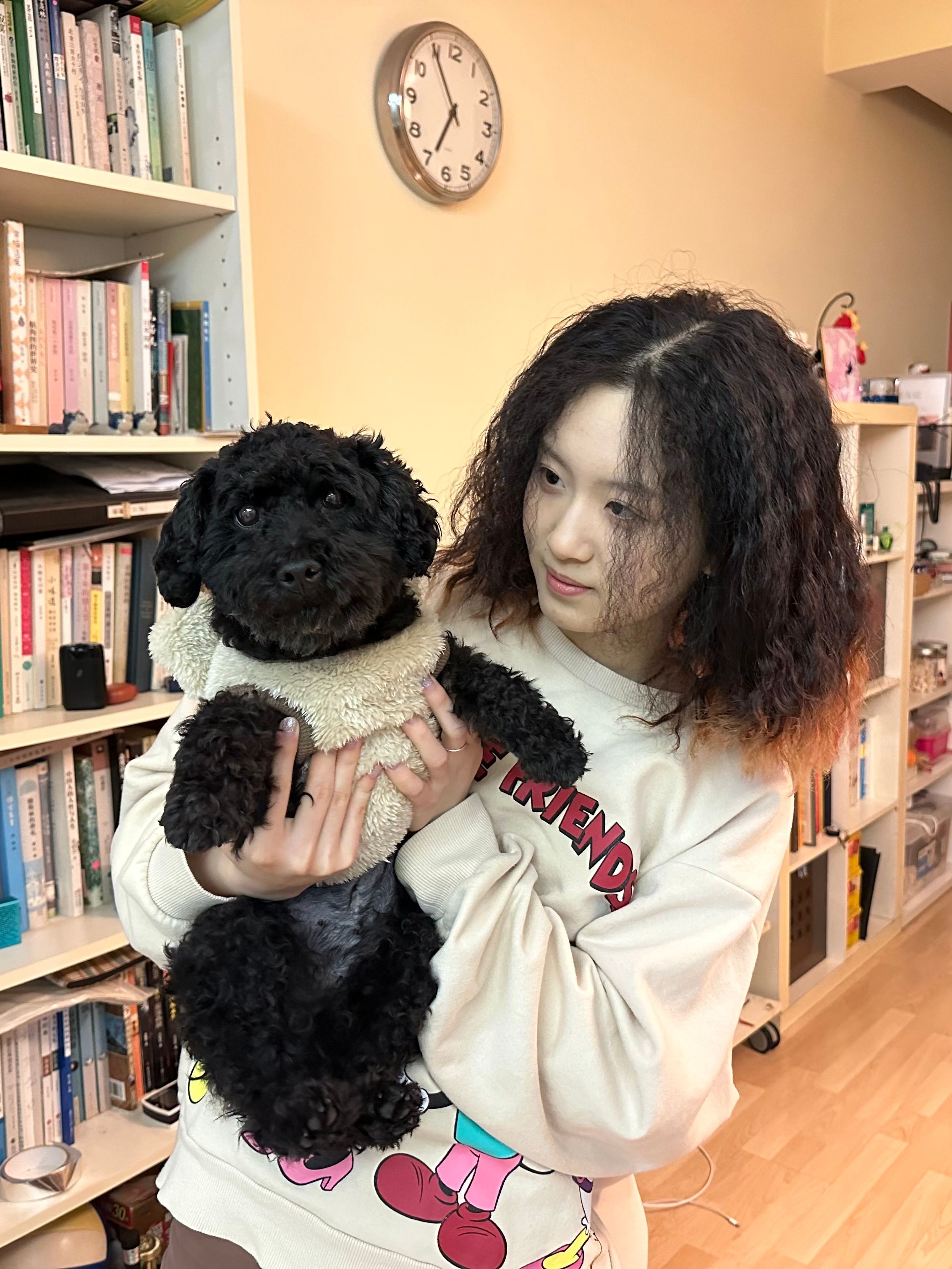 image-22