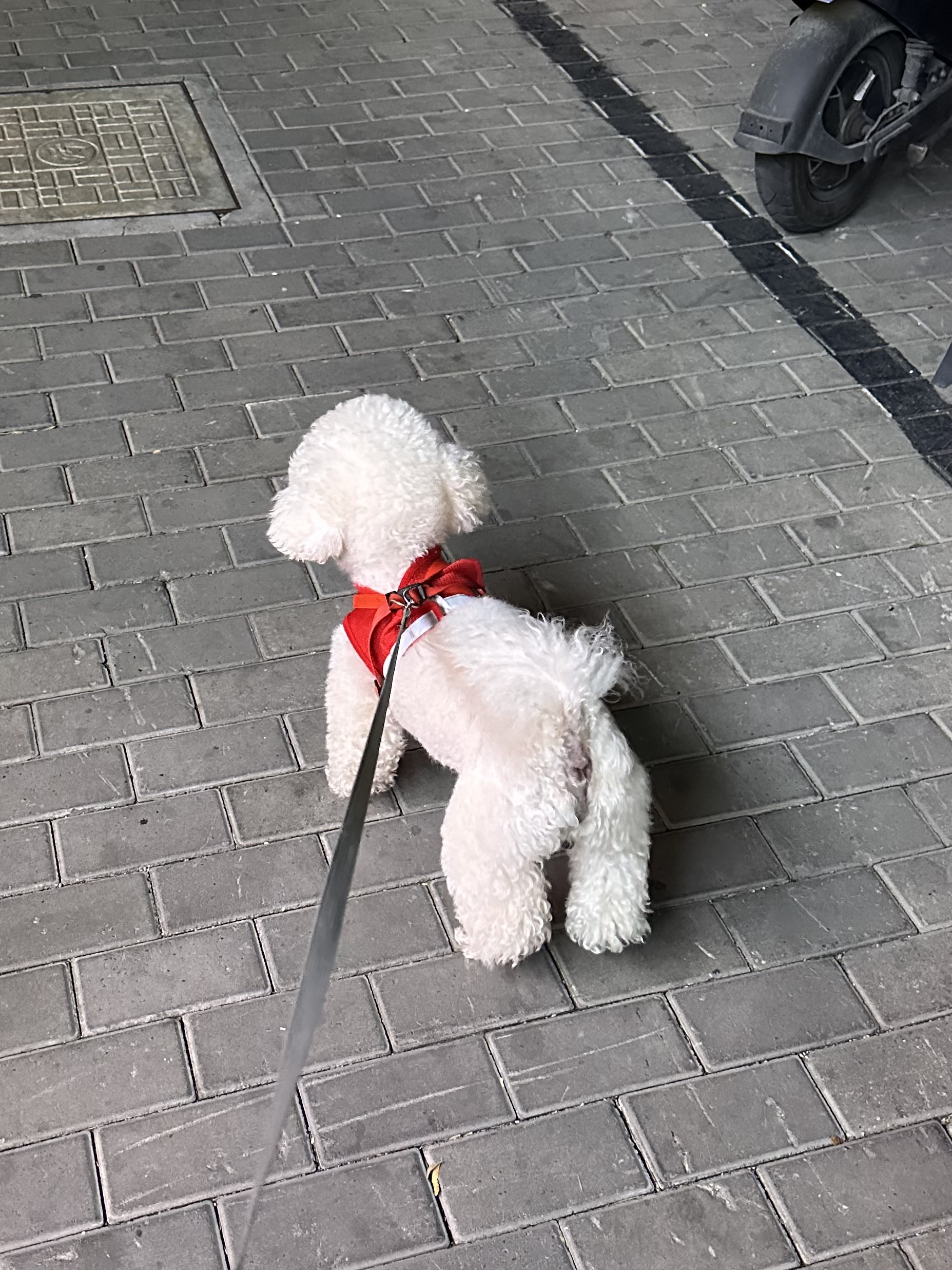 image-26
