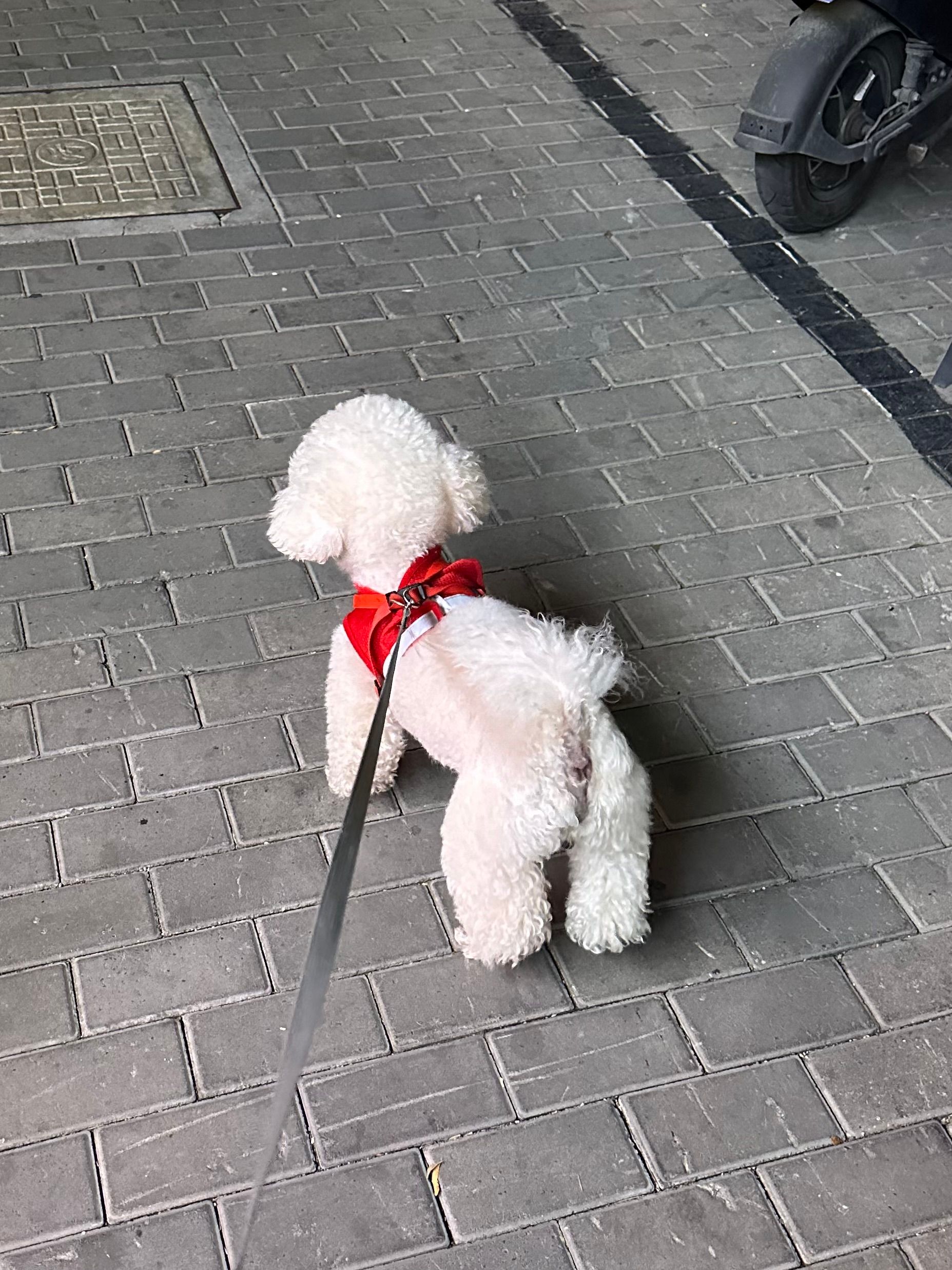 image-26