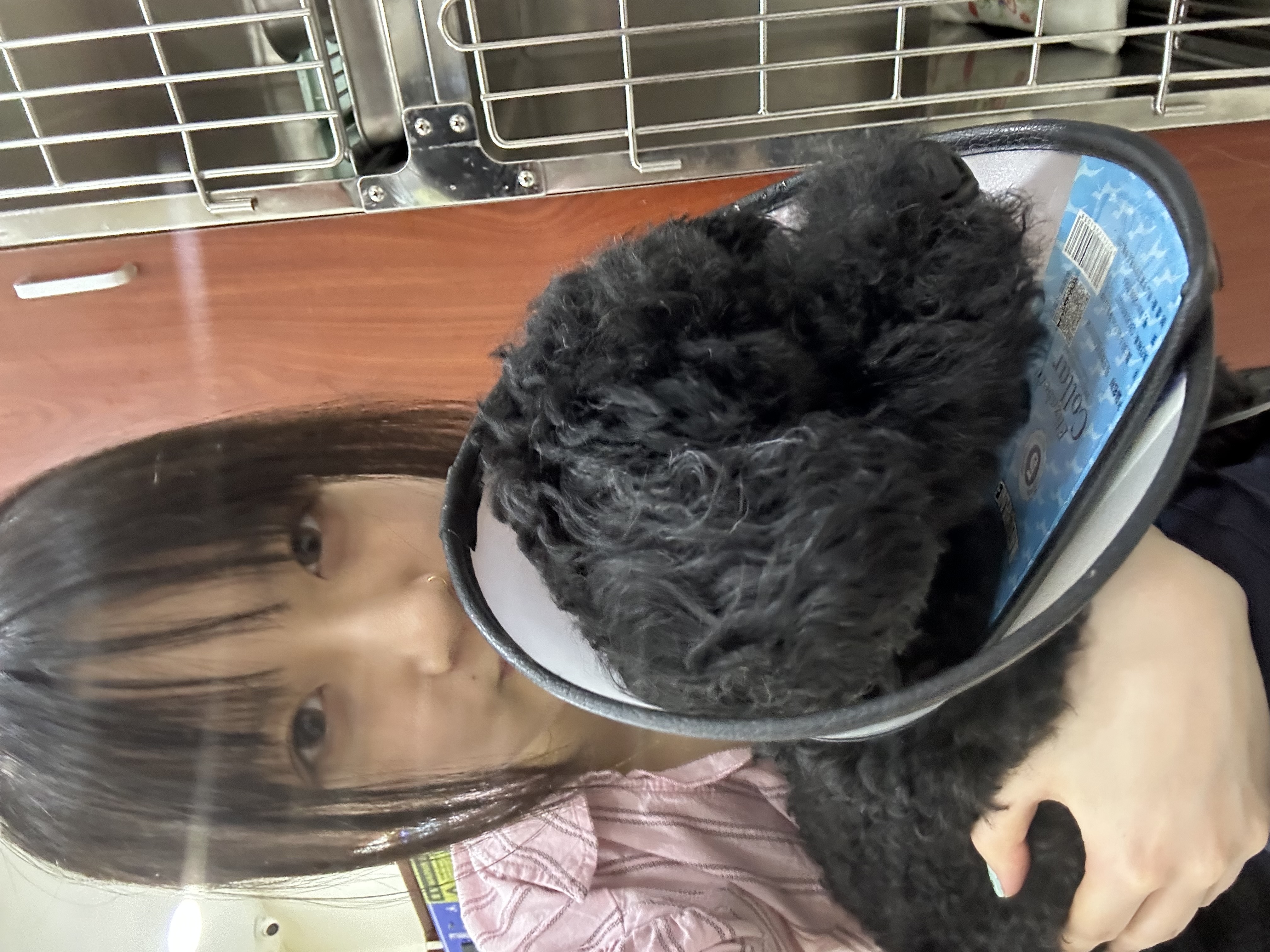 image-16