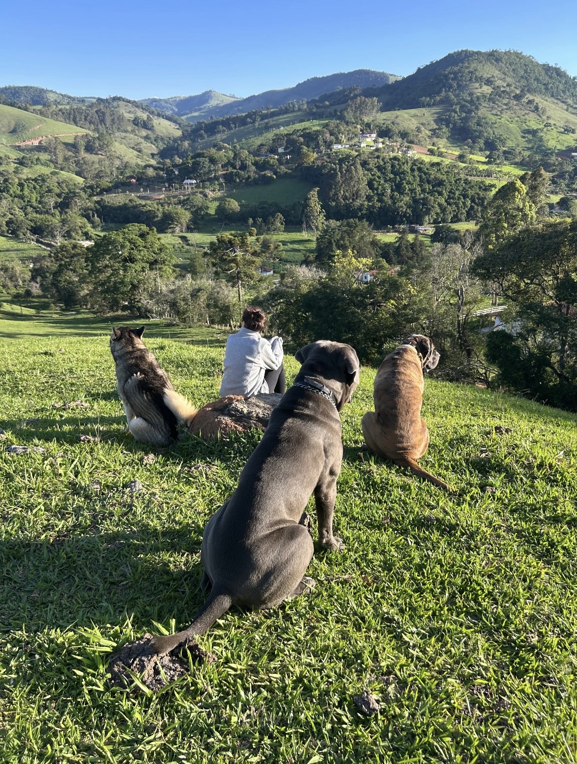 image-11
