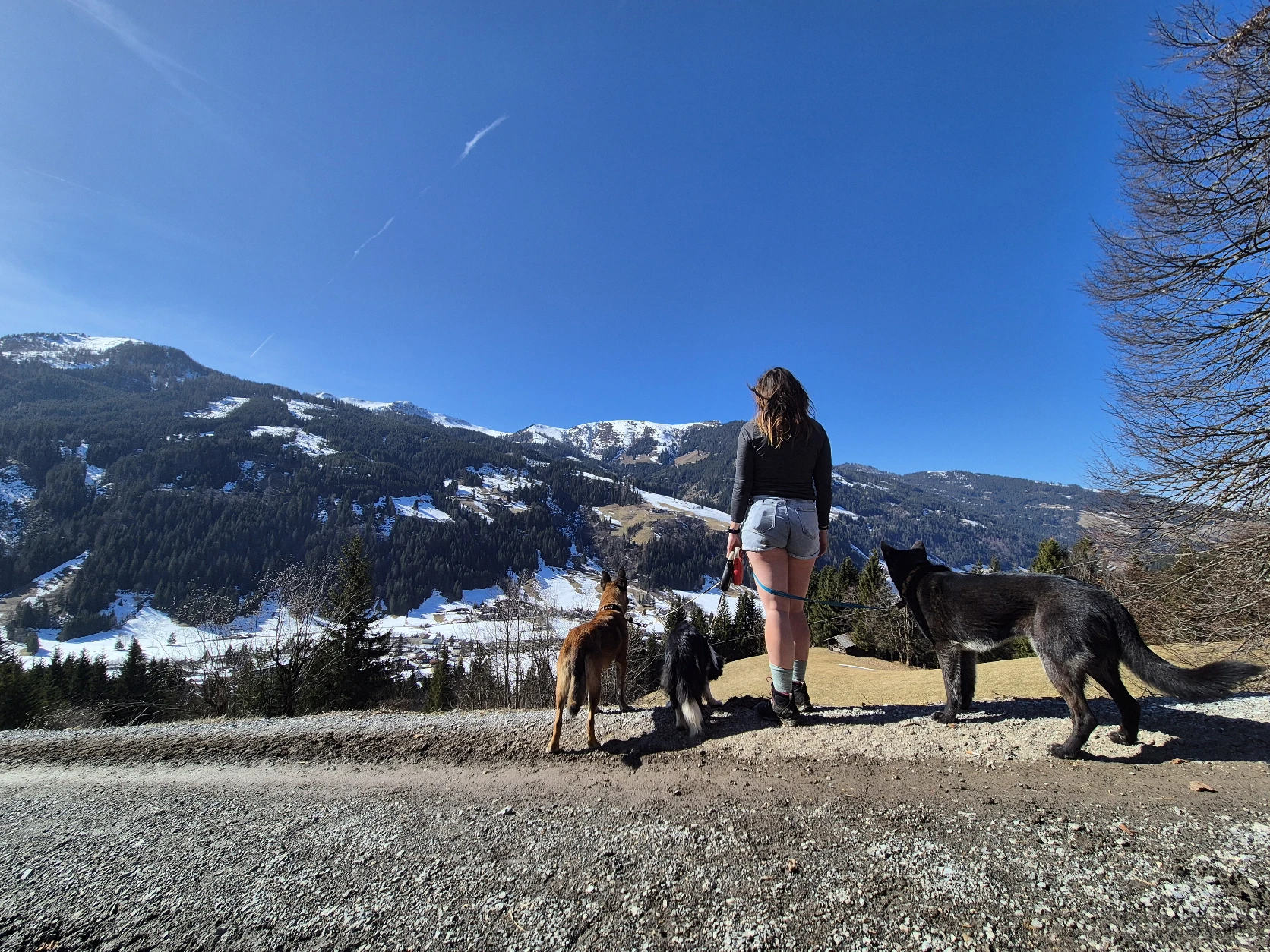 image-7