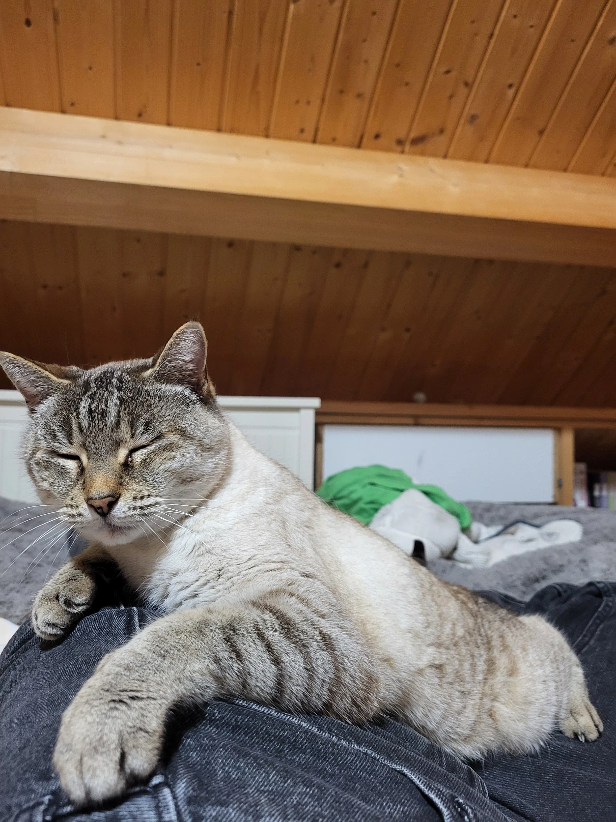 image-8