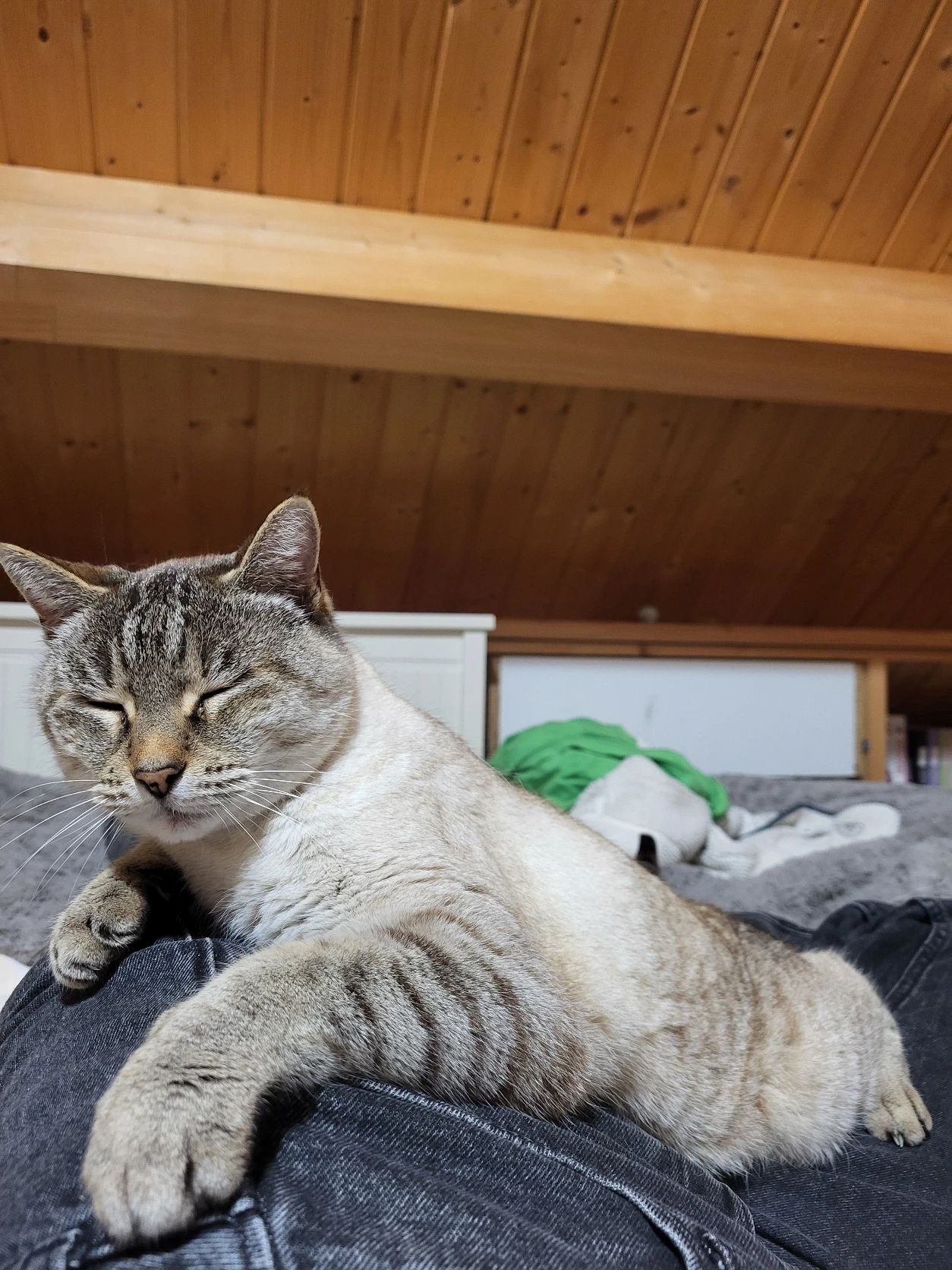 image-8
