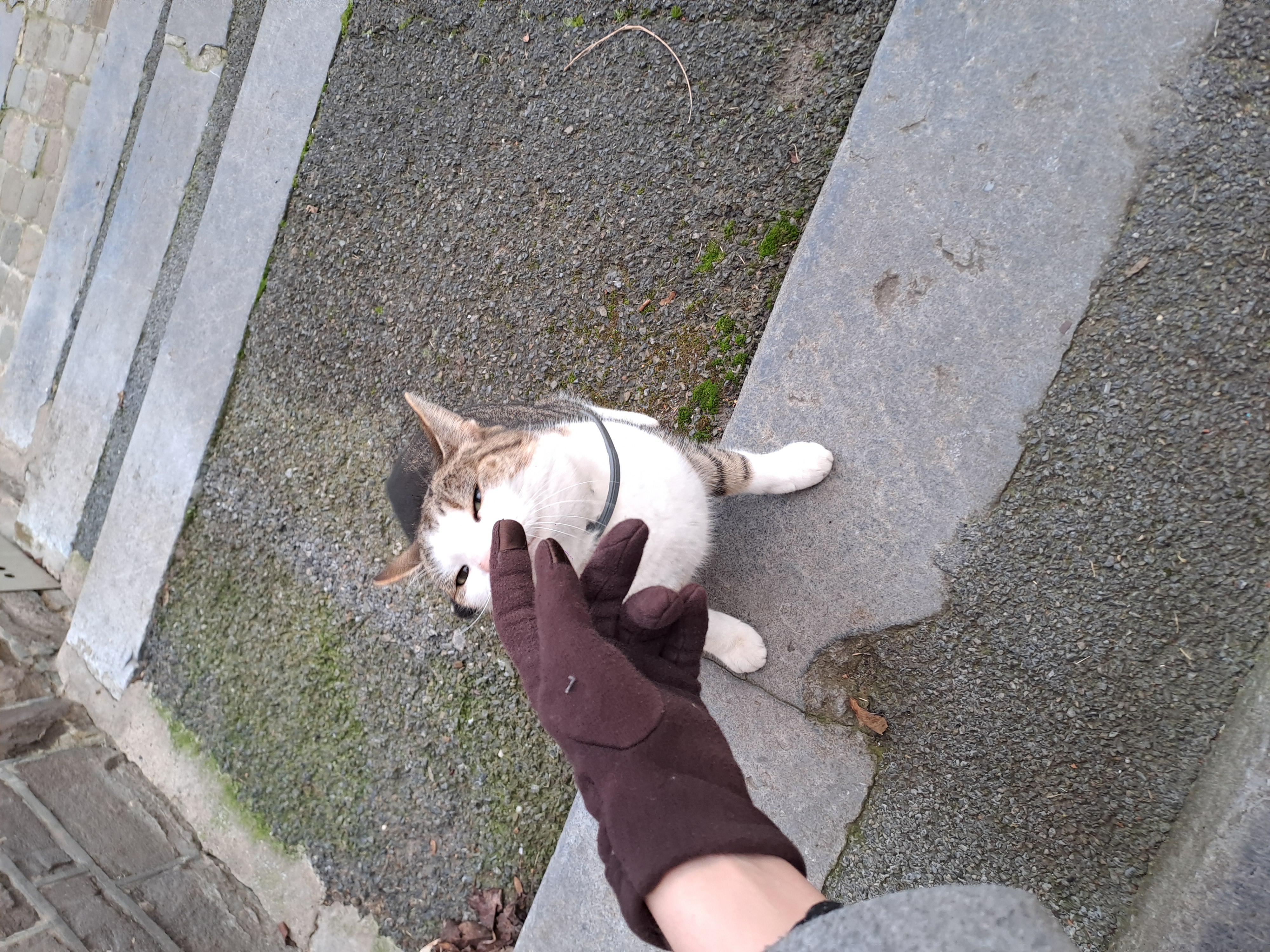 image-6