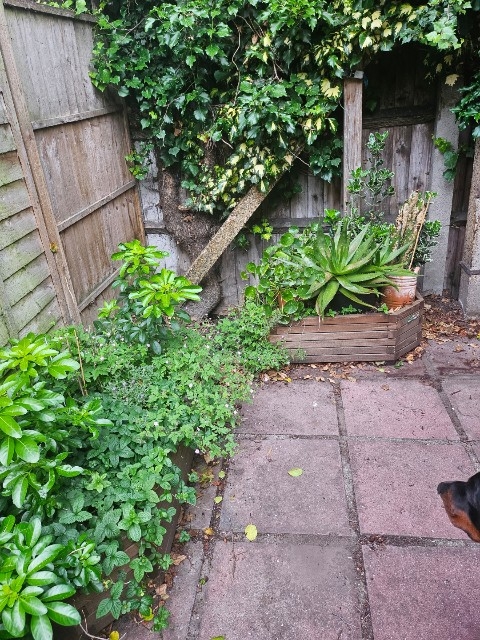 image-16