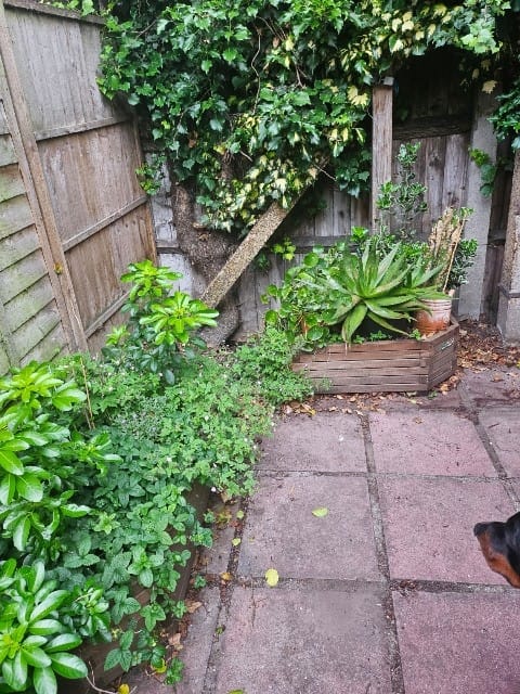 image-16