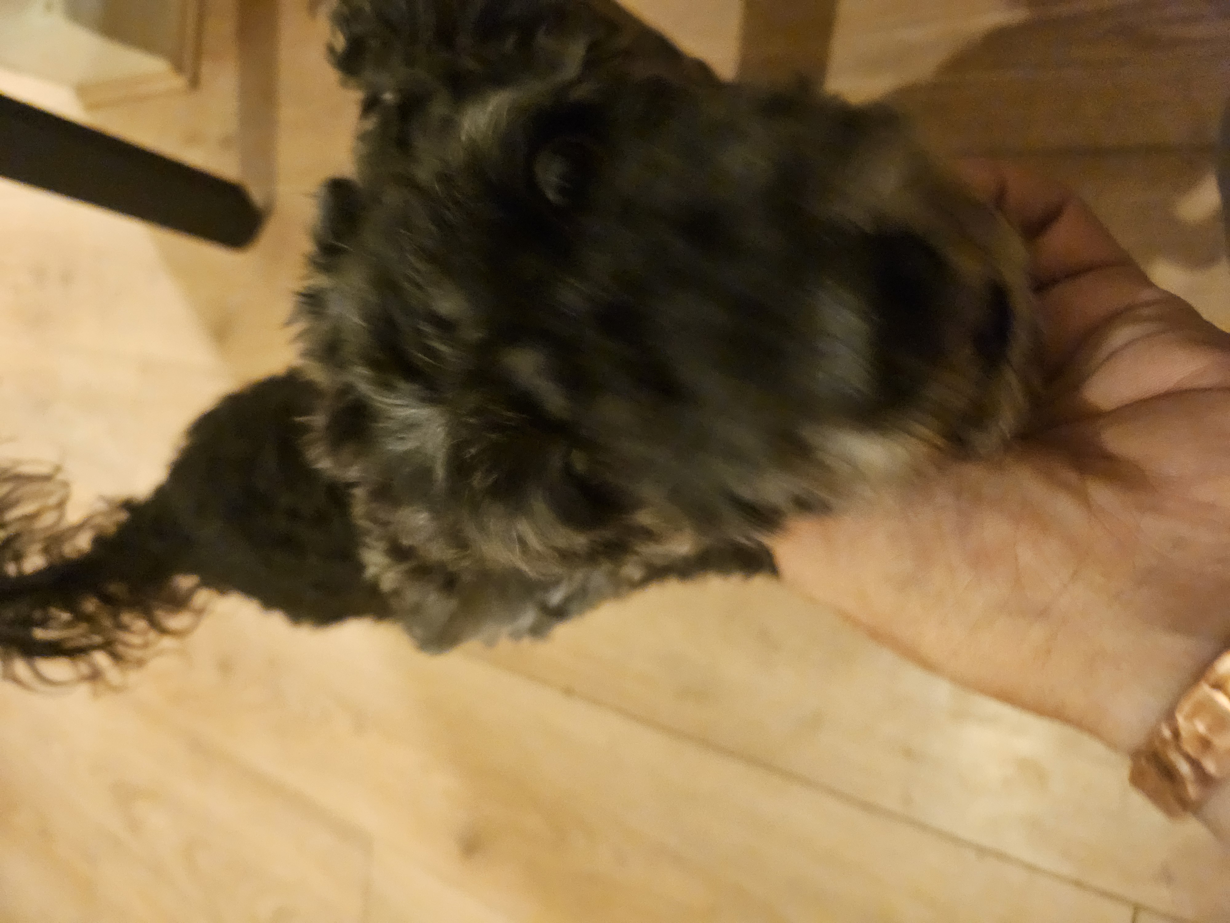 image-16