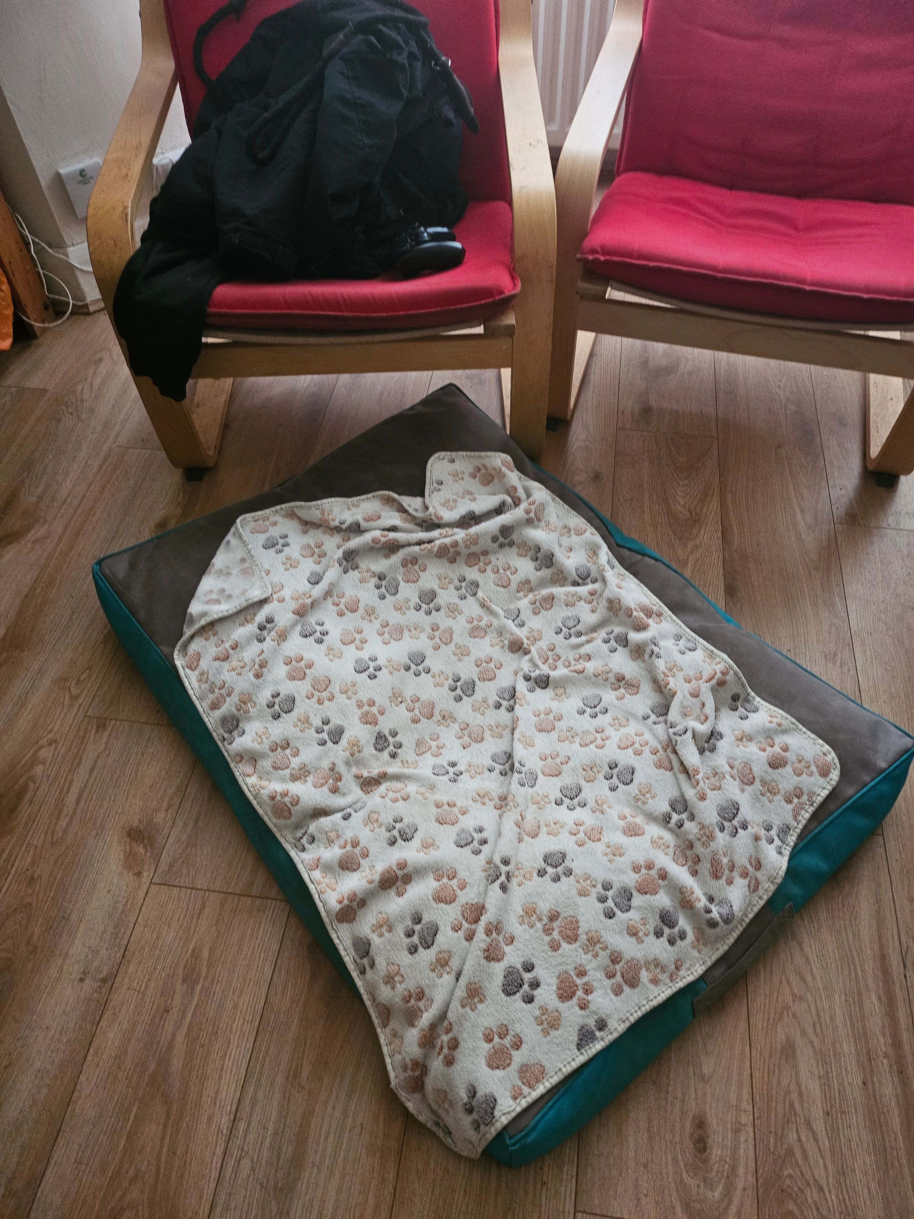 image-15