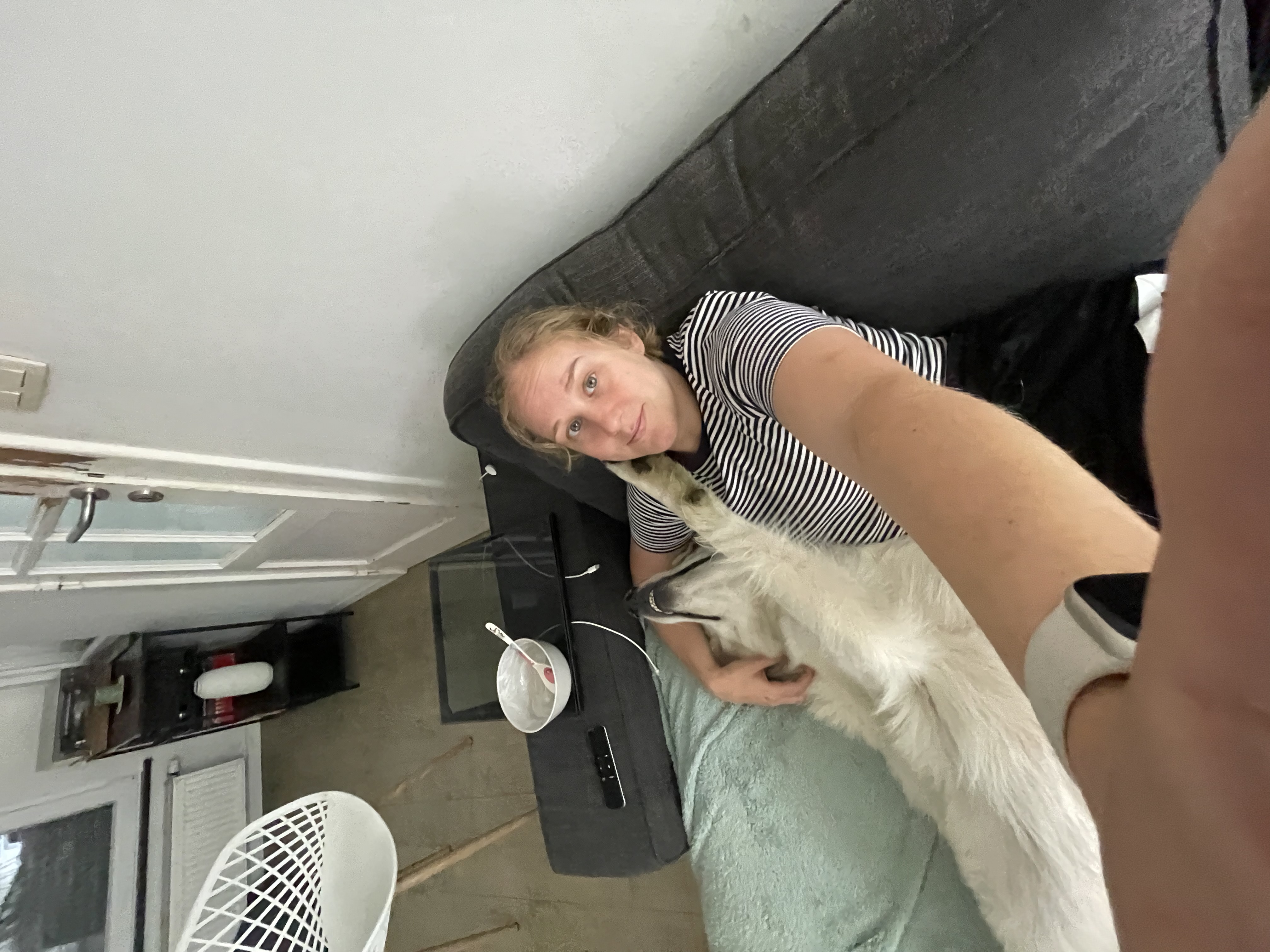 image-8
