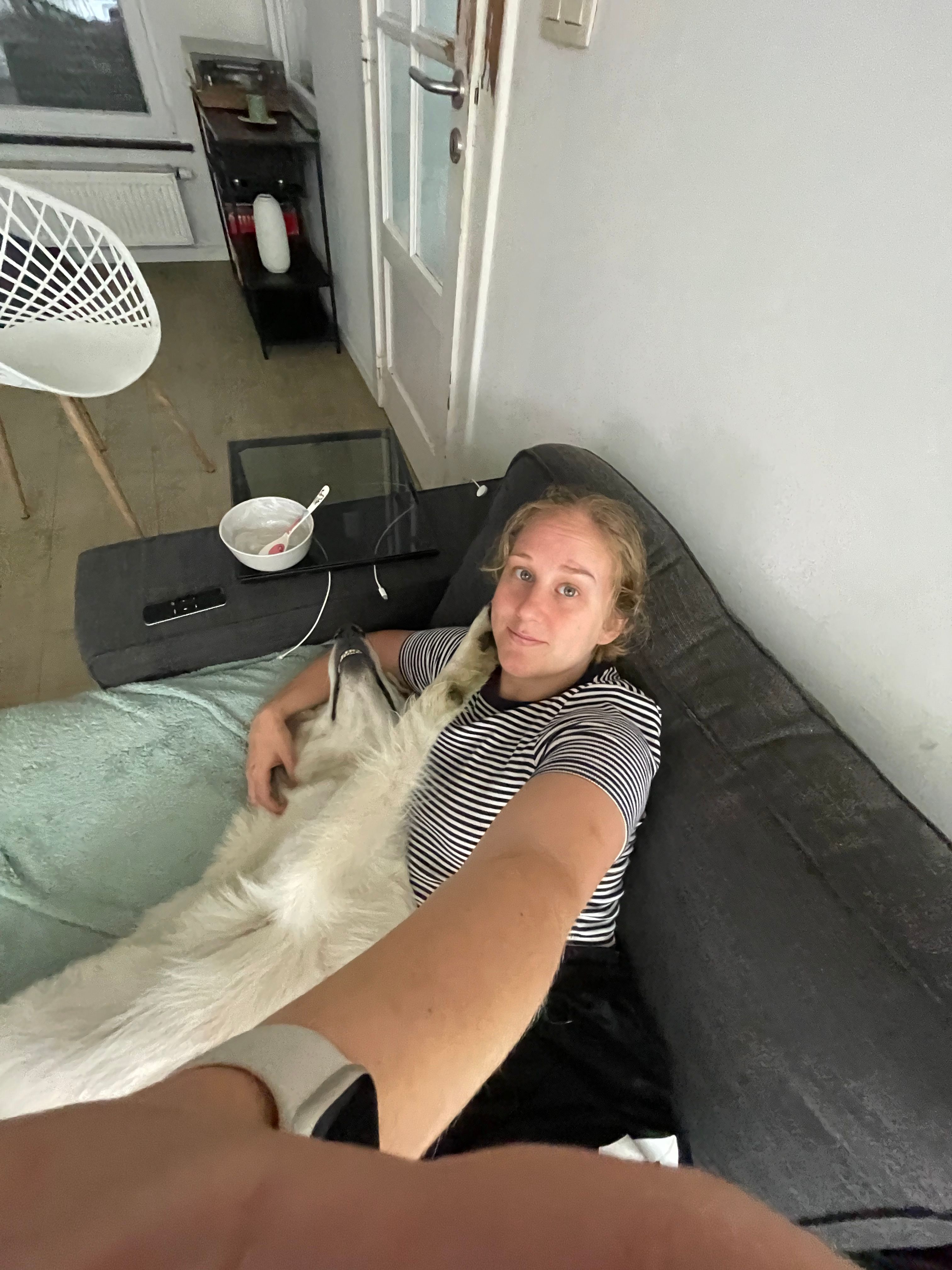 image-8