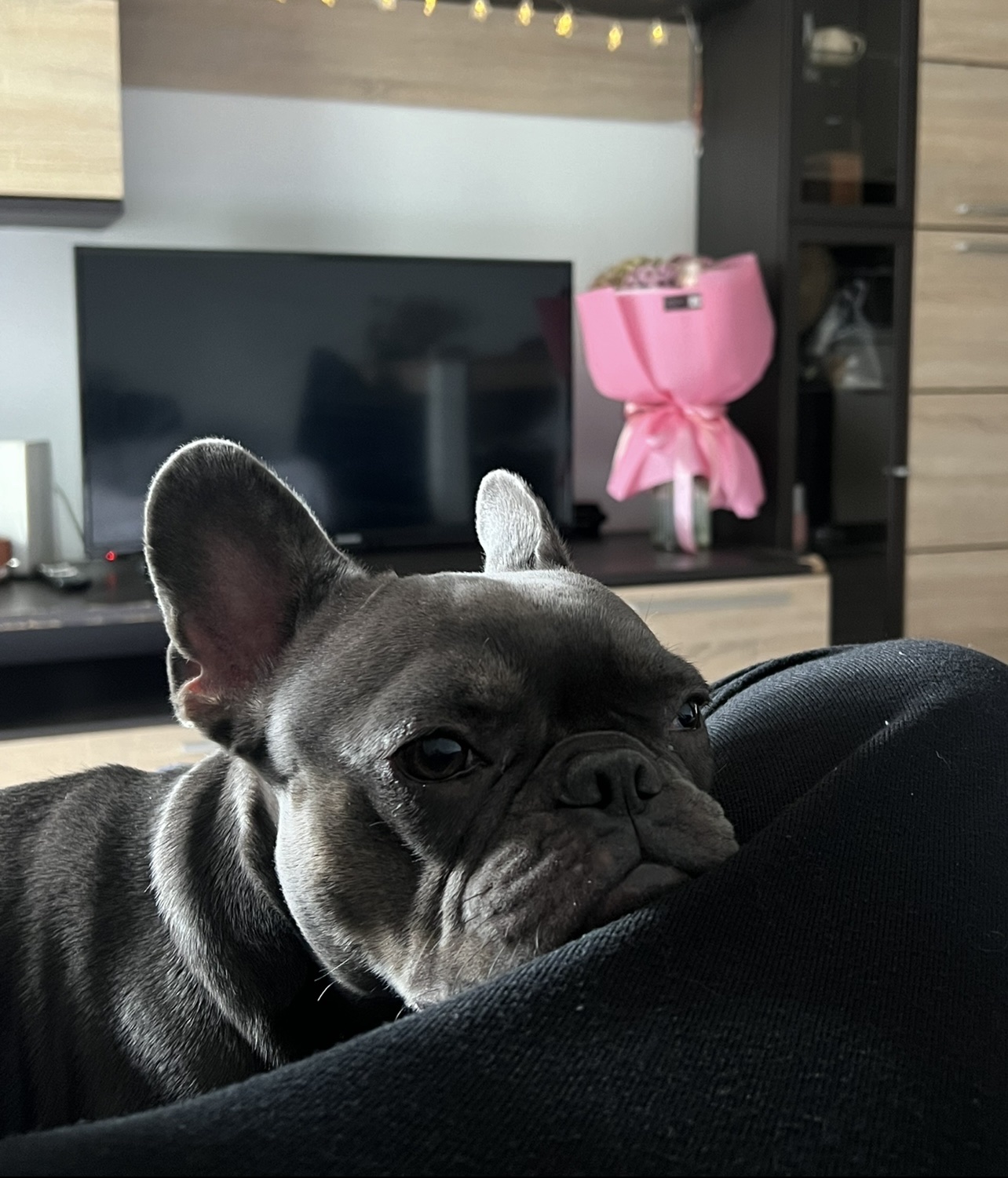 image-4