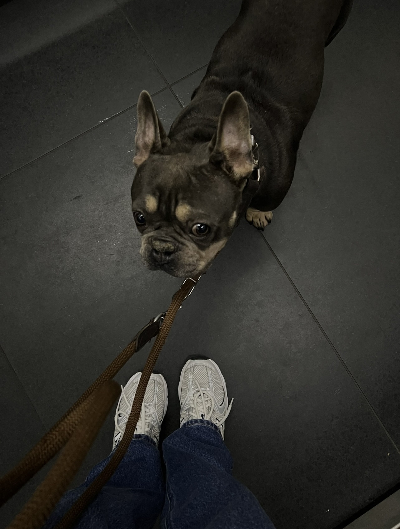 image-10