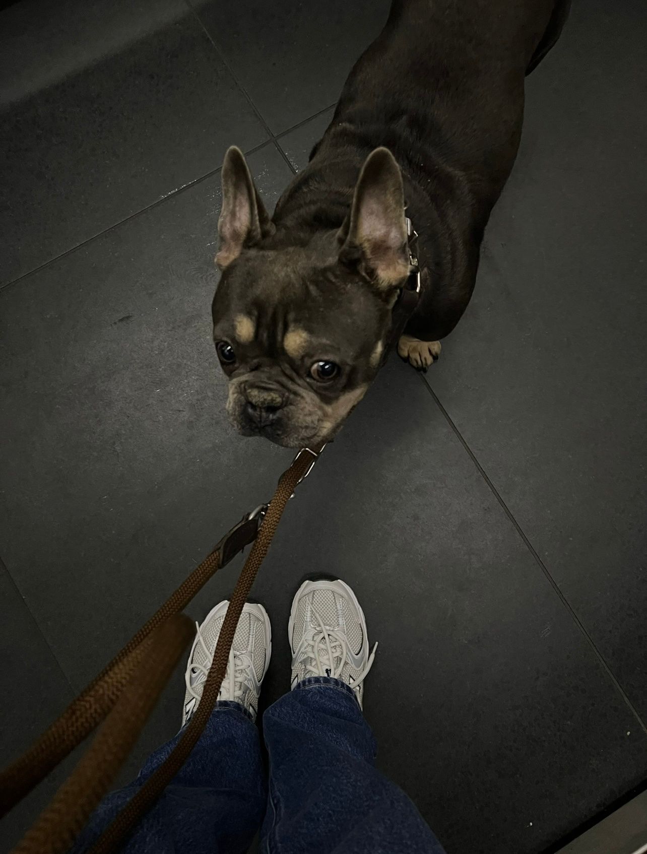 image-10