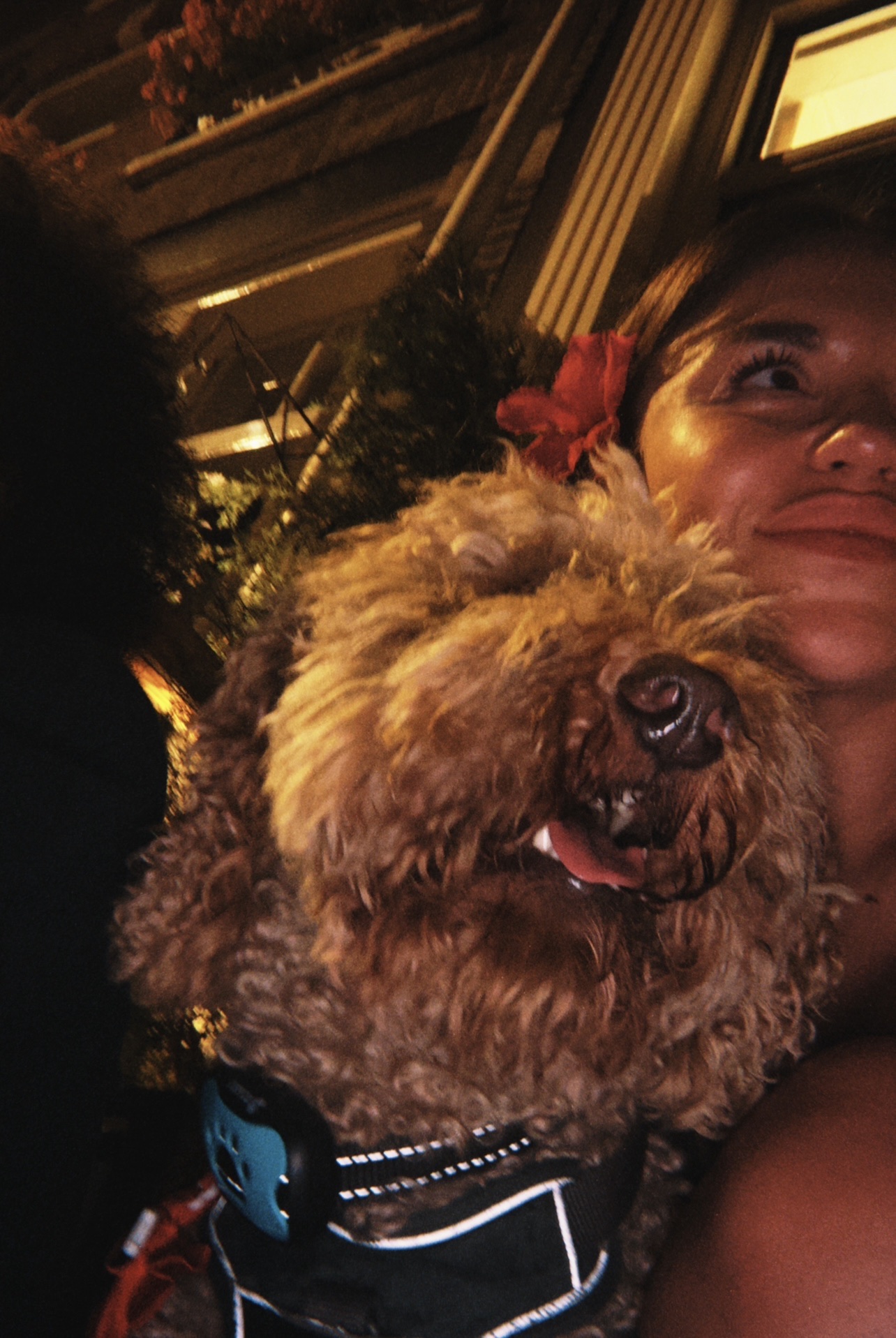 image-8