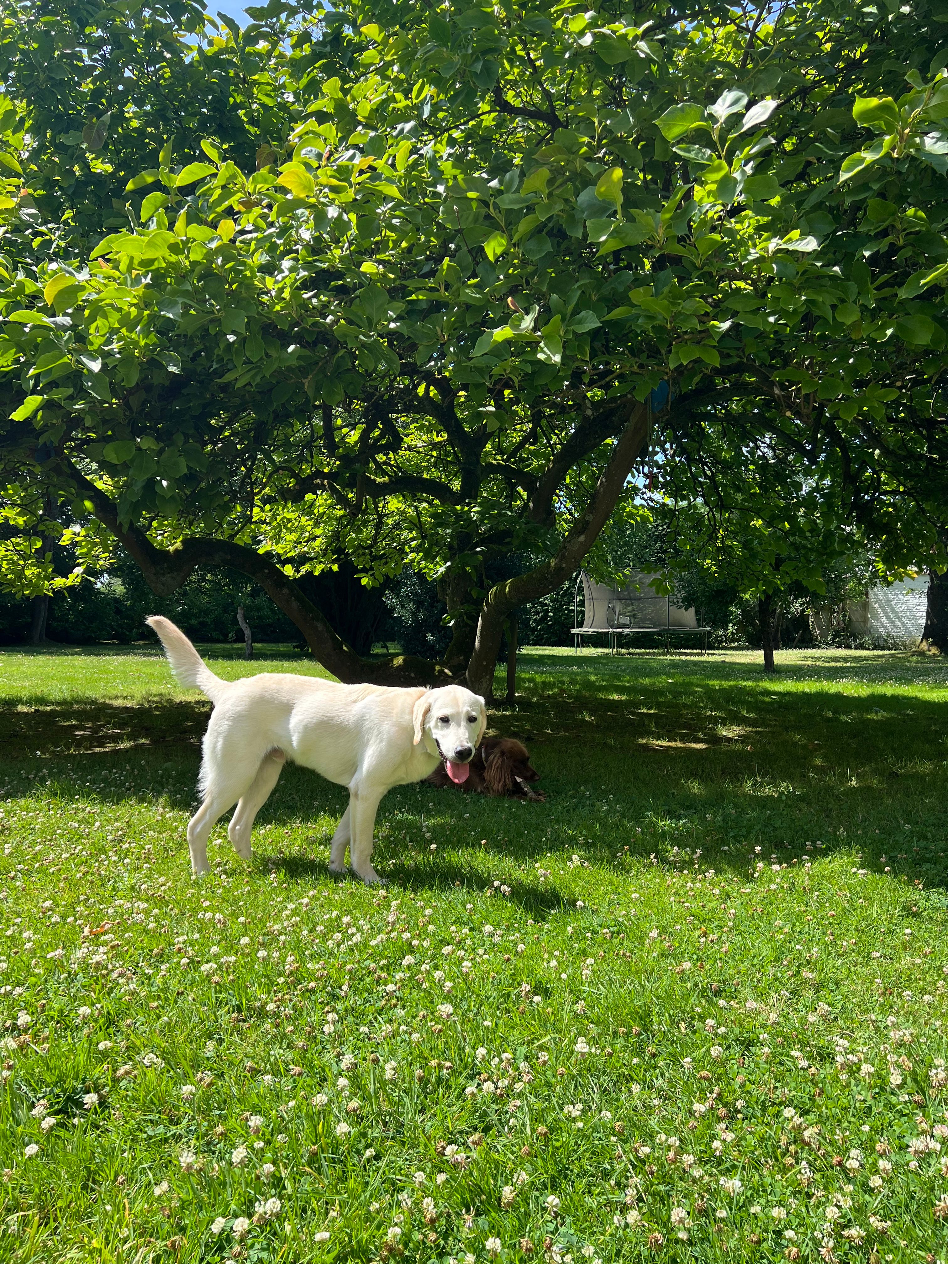 image-20