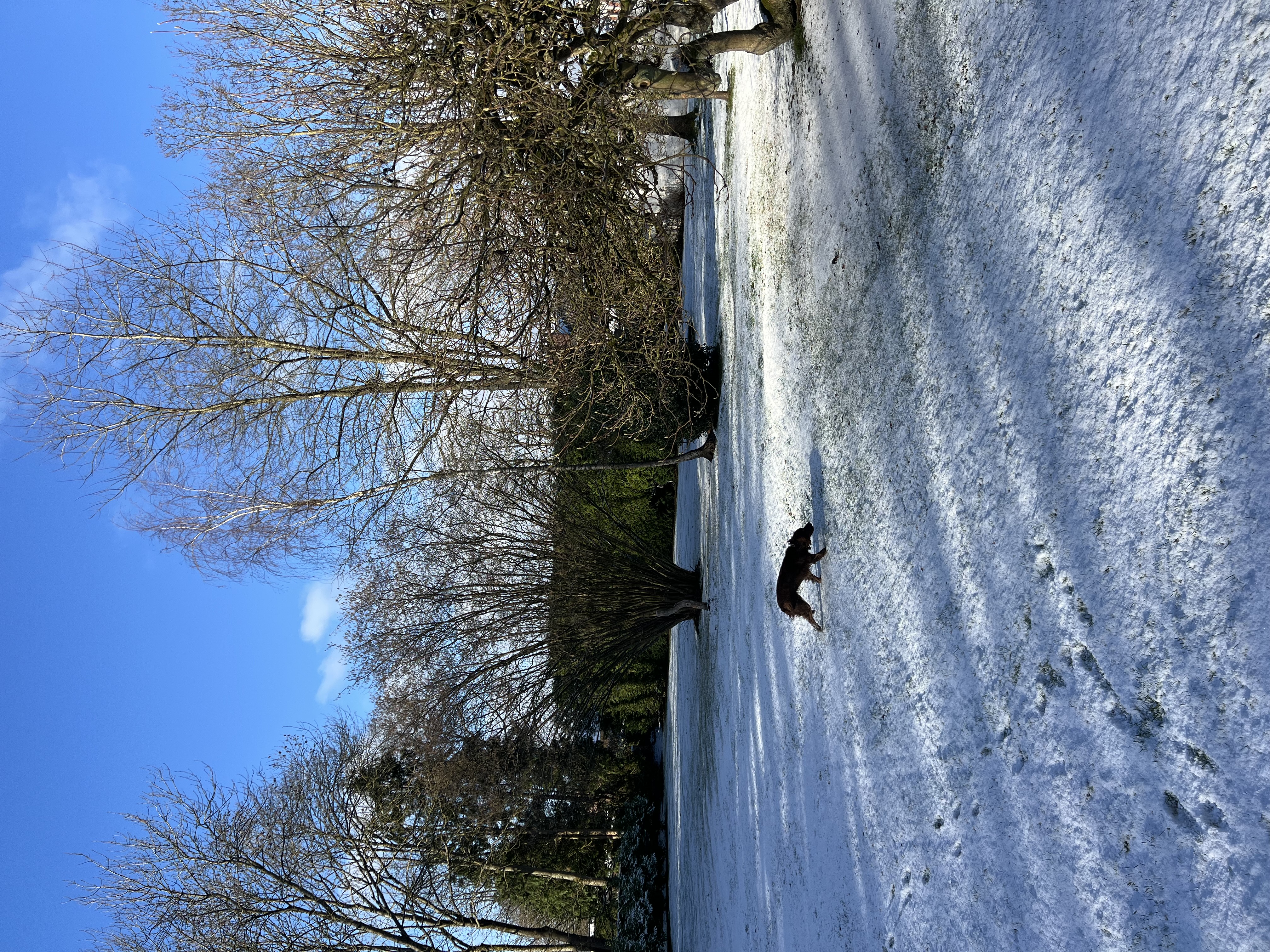 image-11