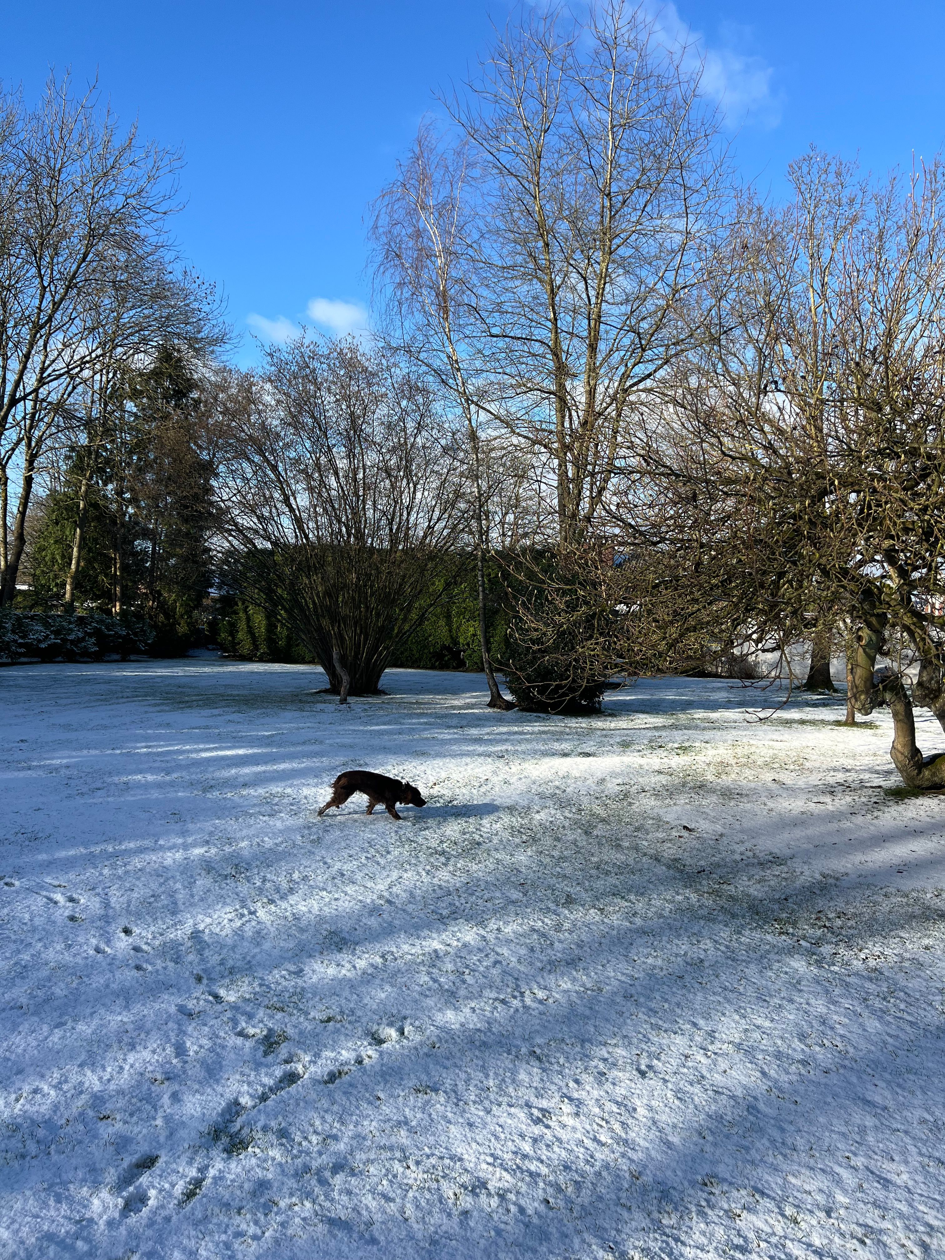 image-11