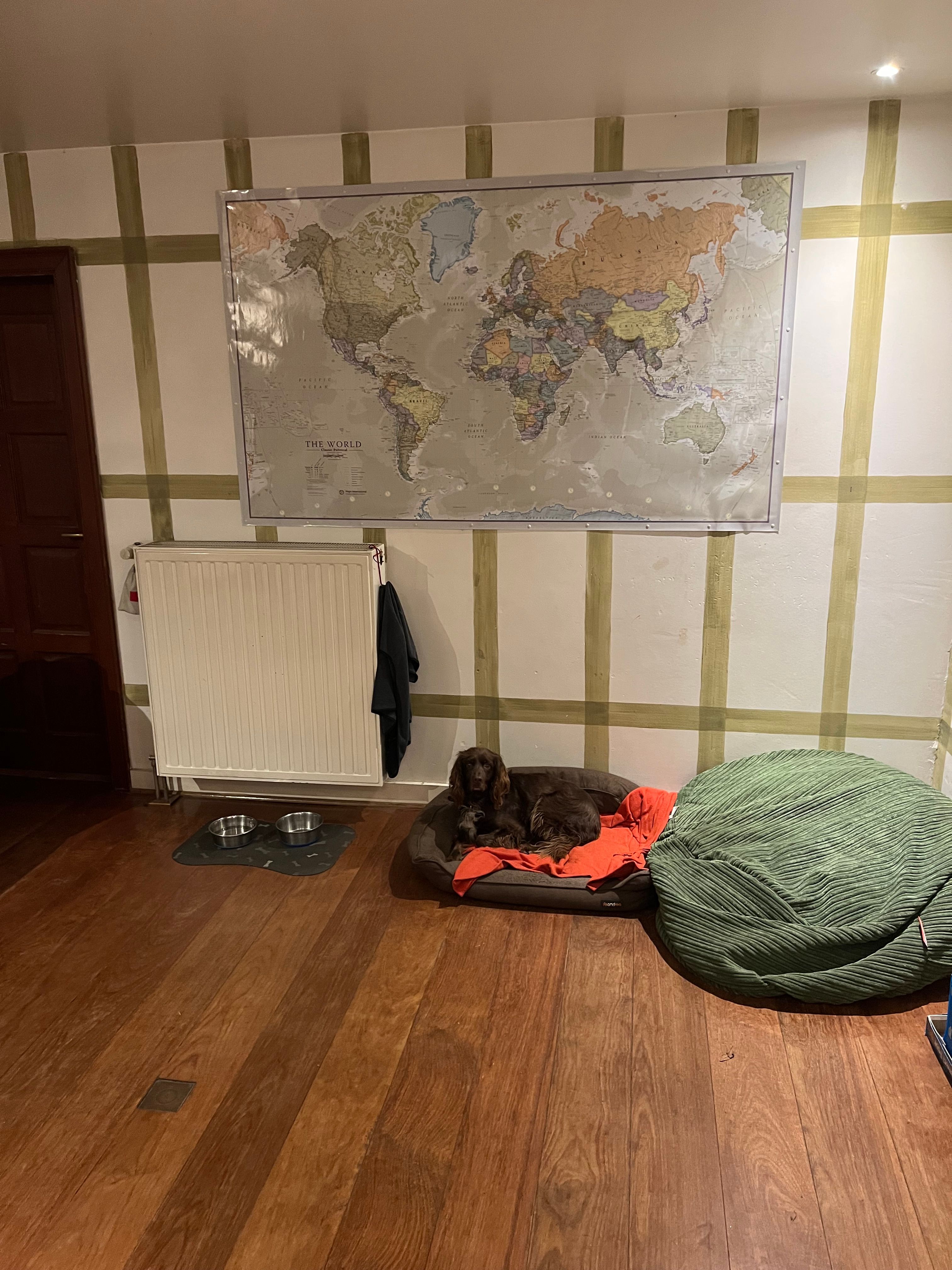 image-15