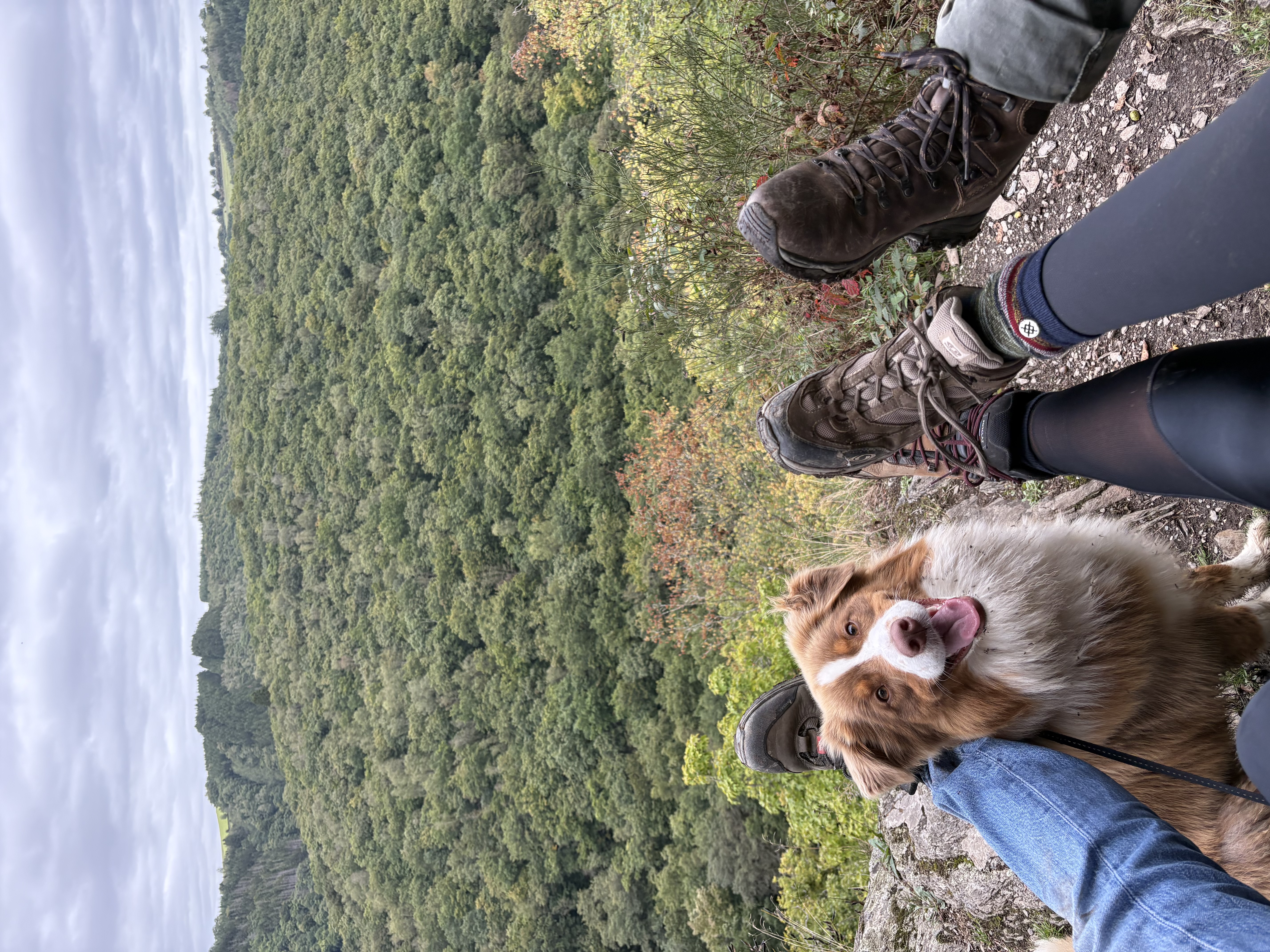 image-5