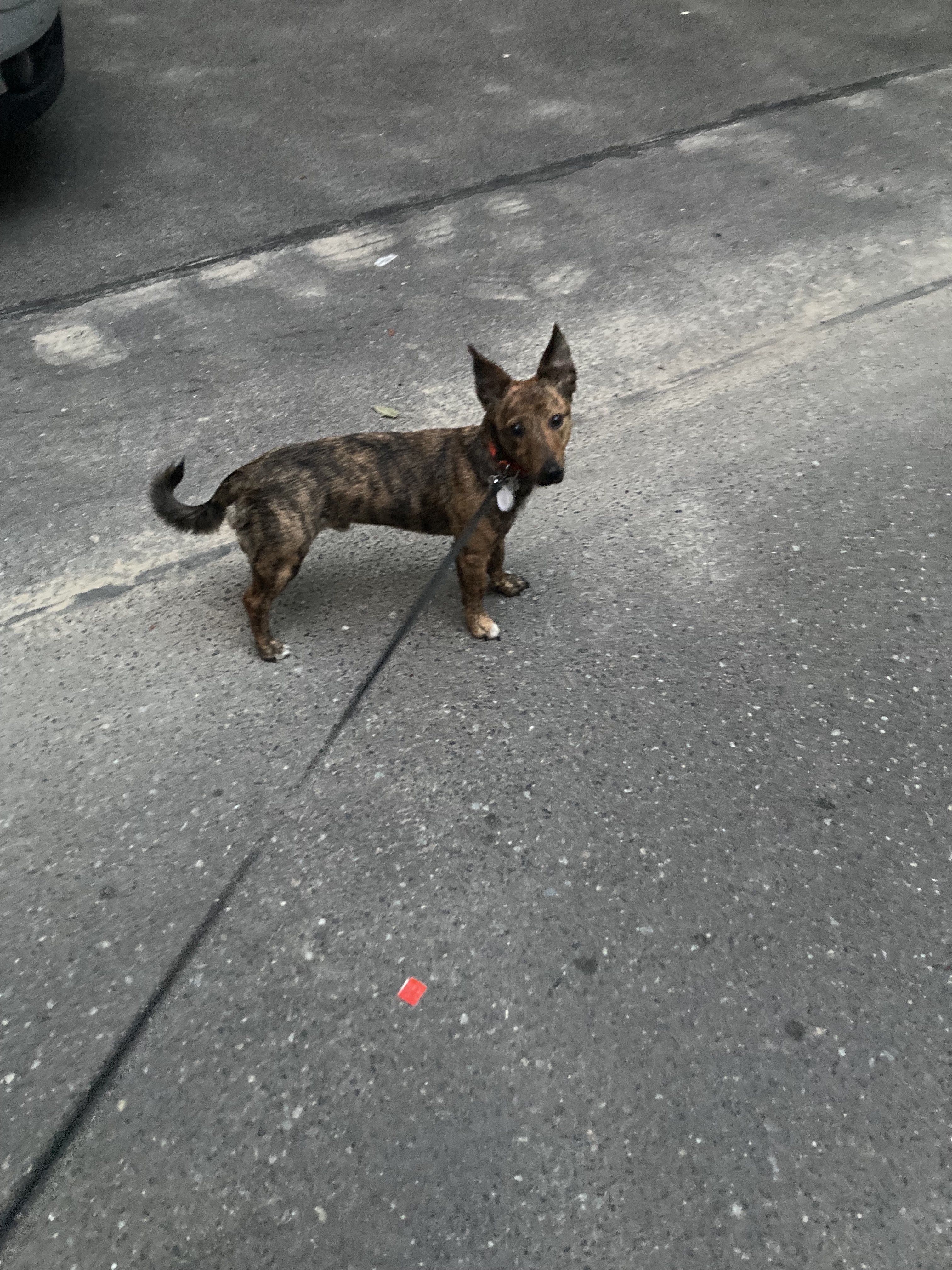 image-8