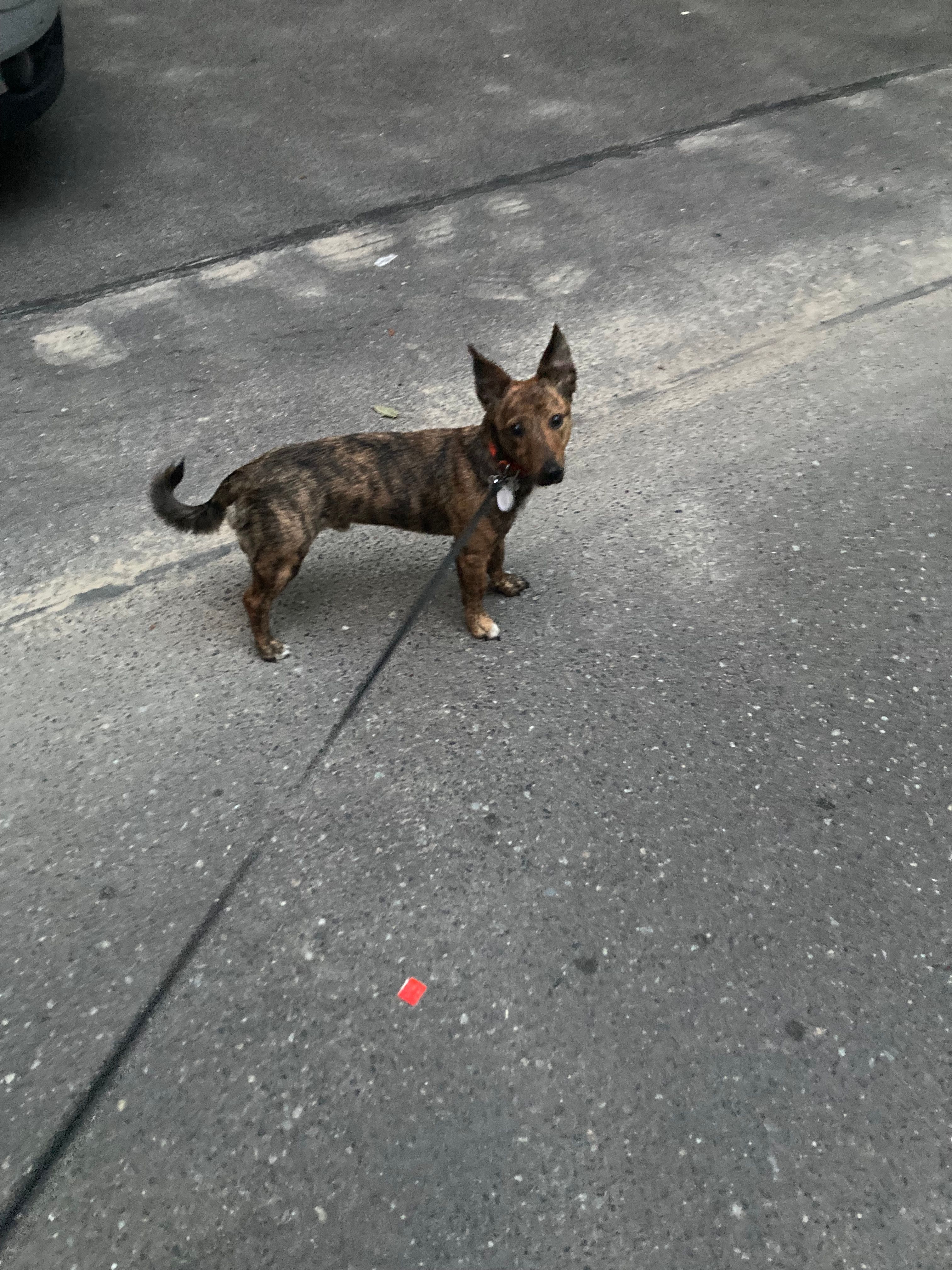 image-8
