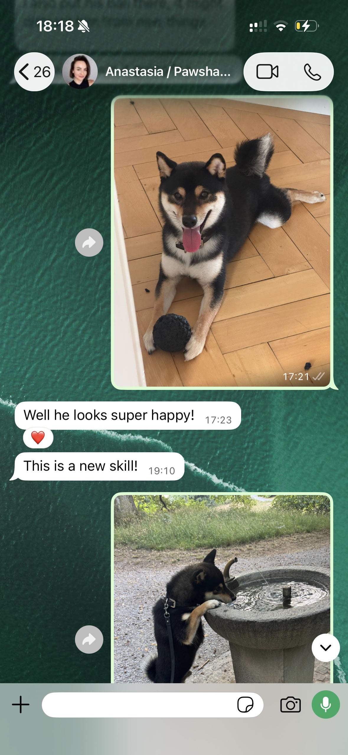 image-6