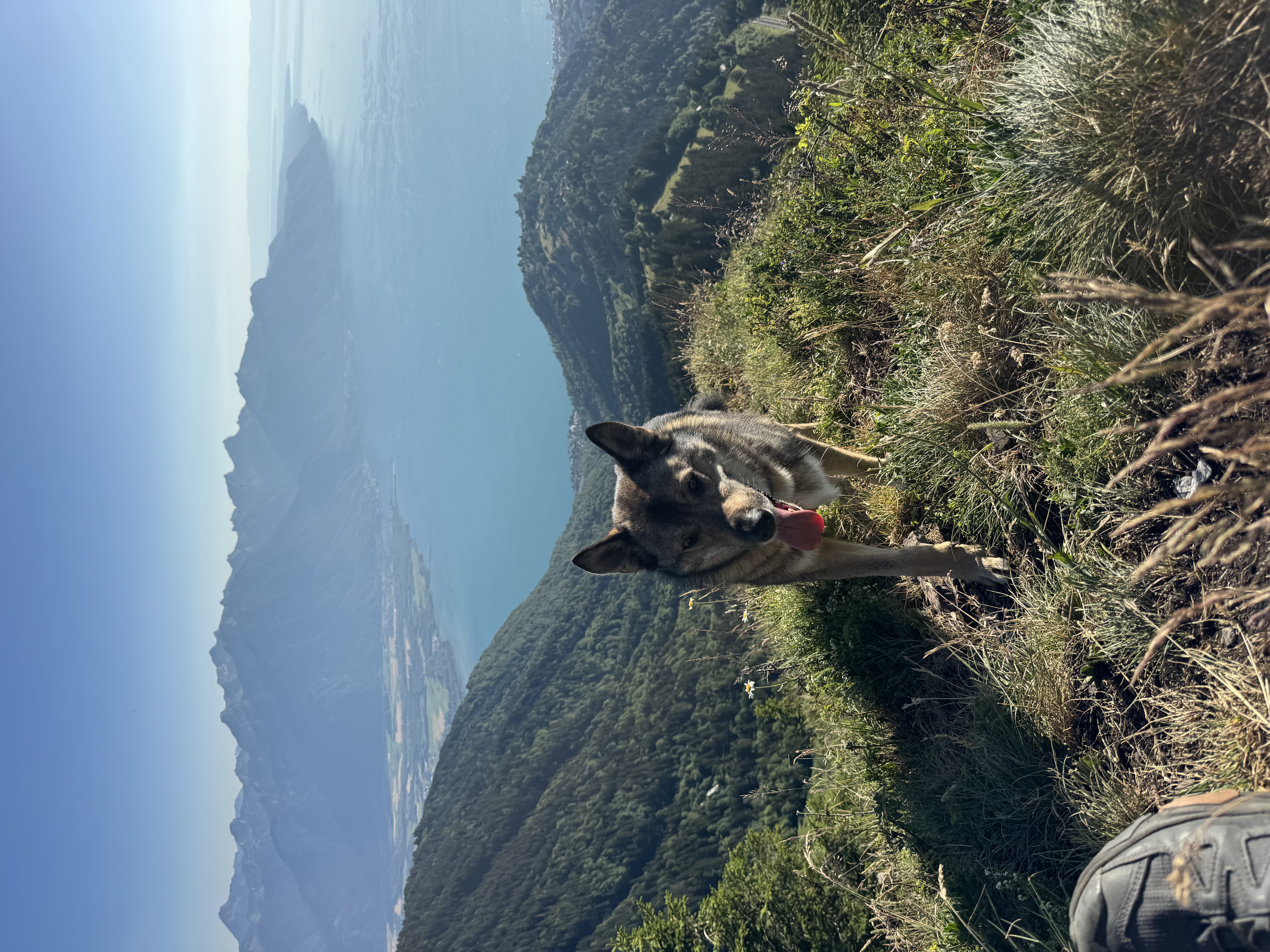 image-14