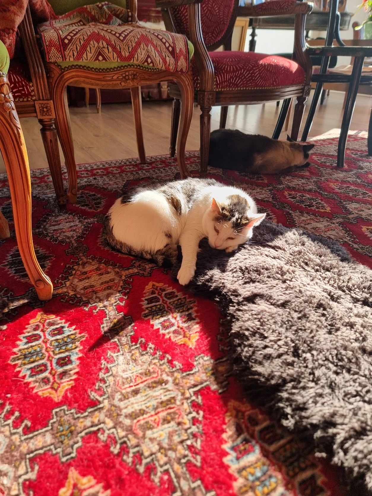 image-12