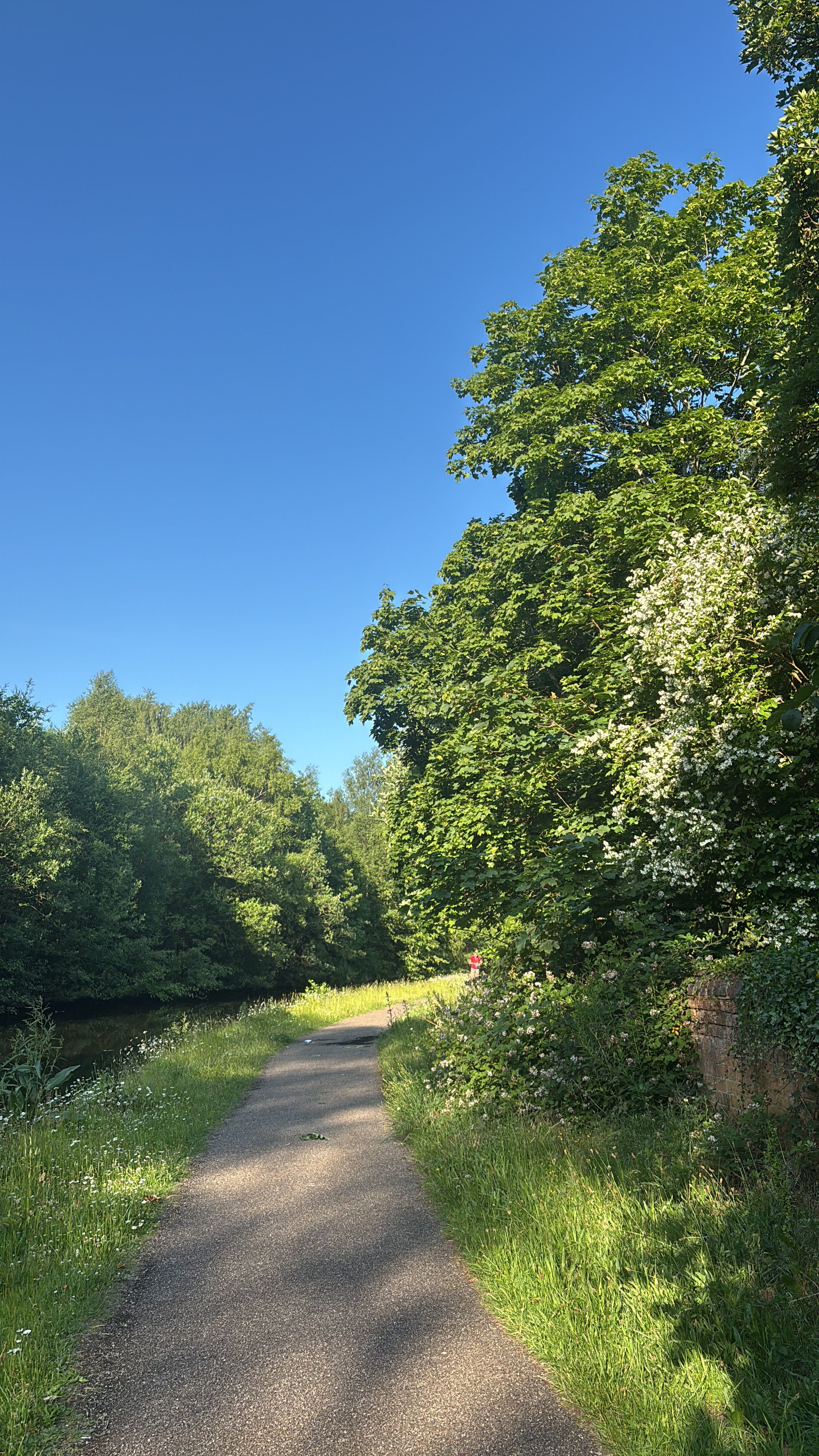 image-19