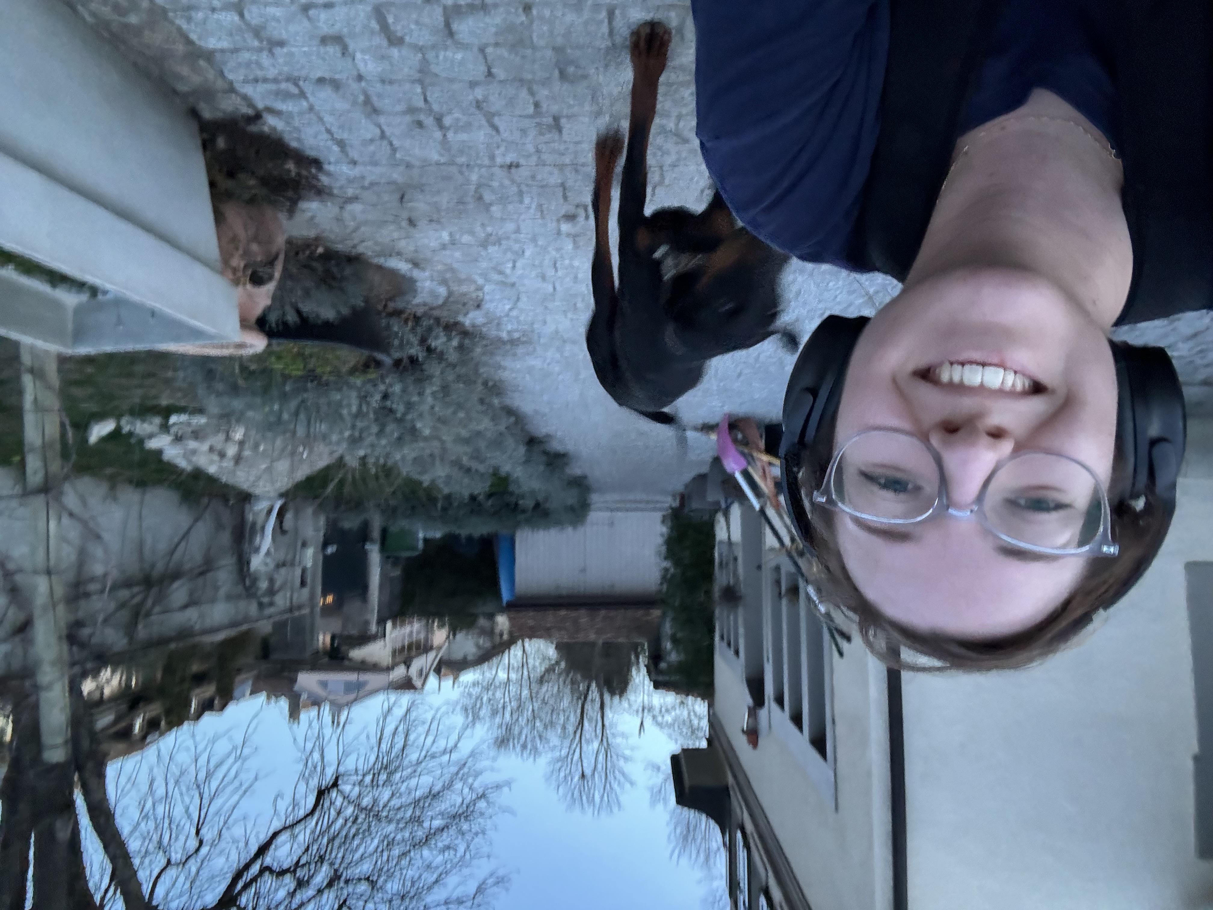 image-7