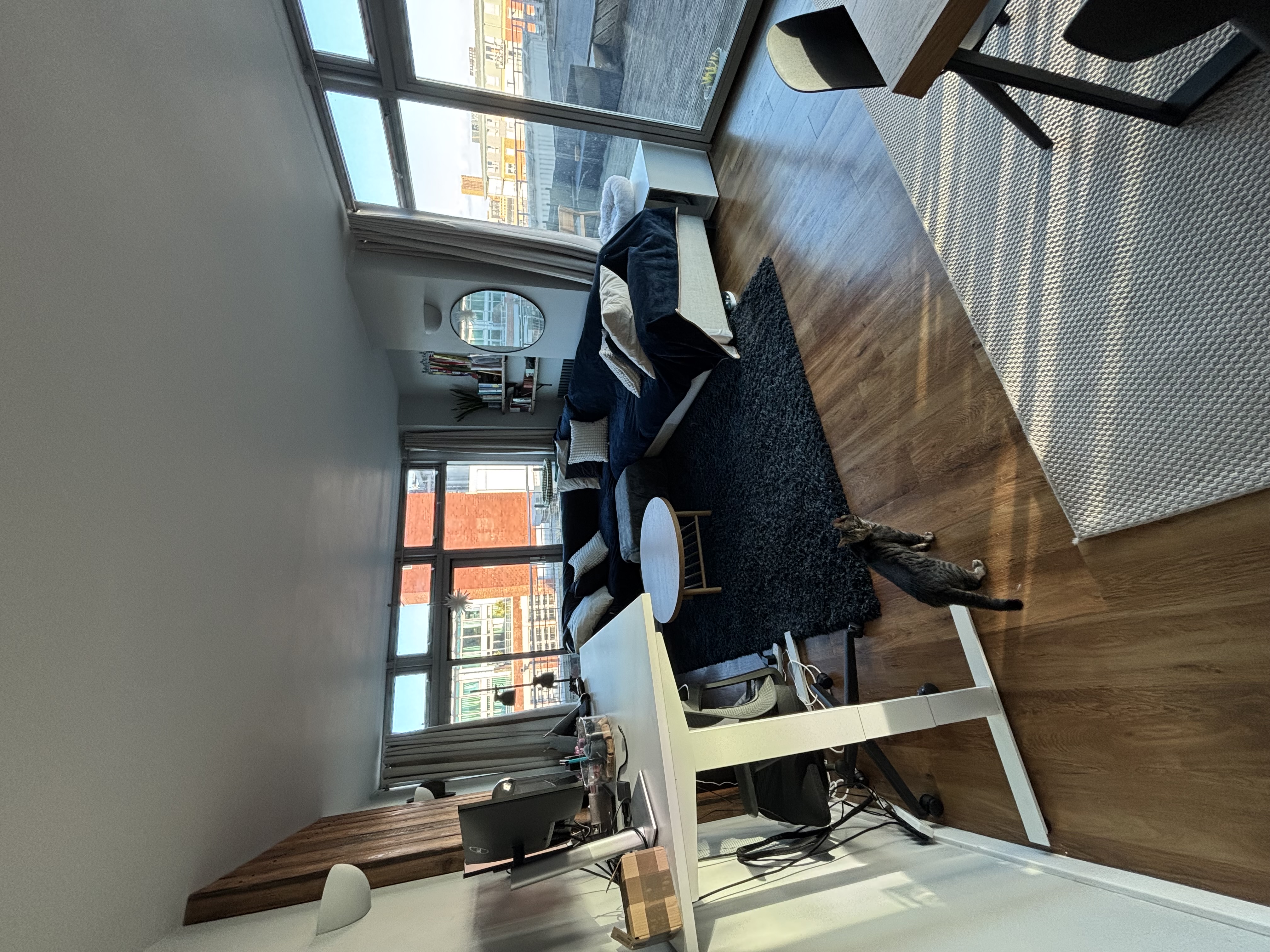 image-11