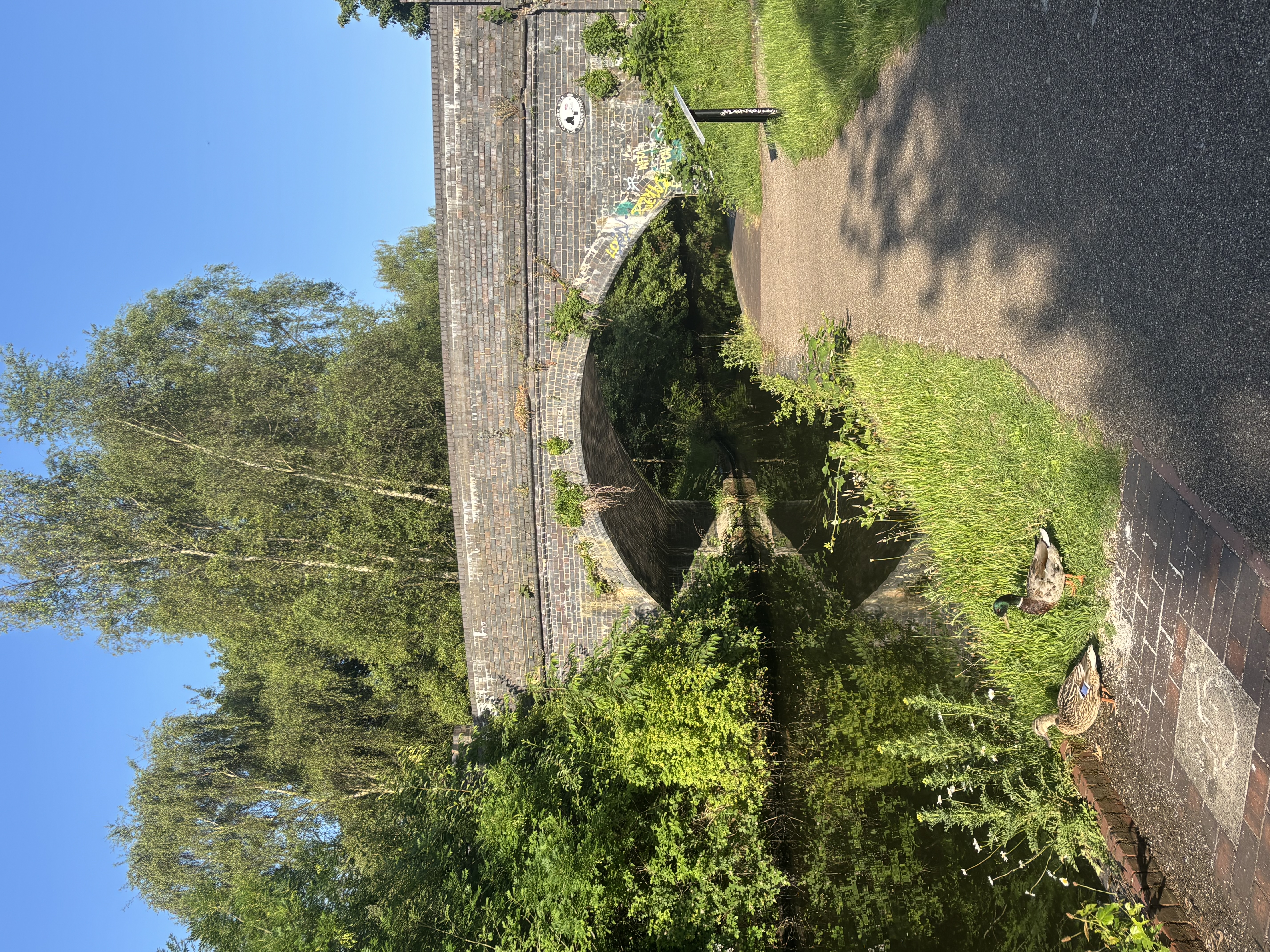 image-18