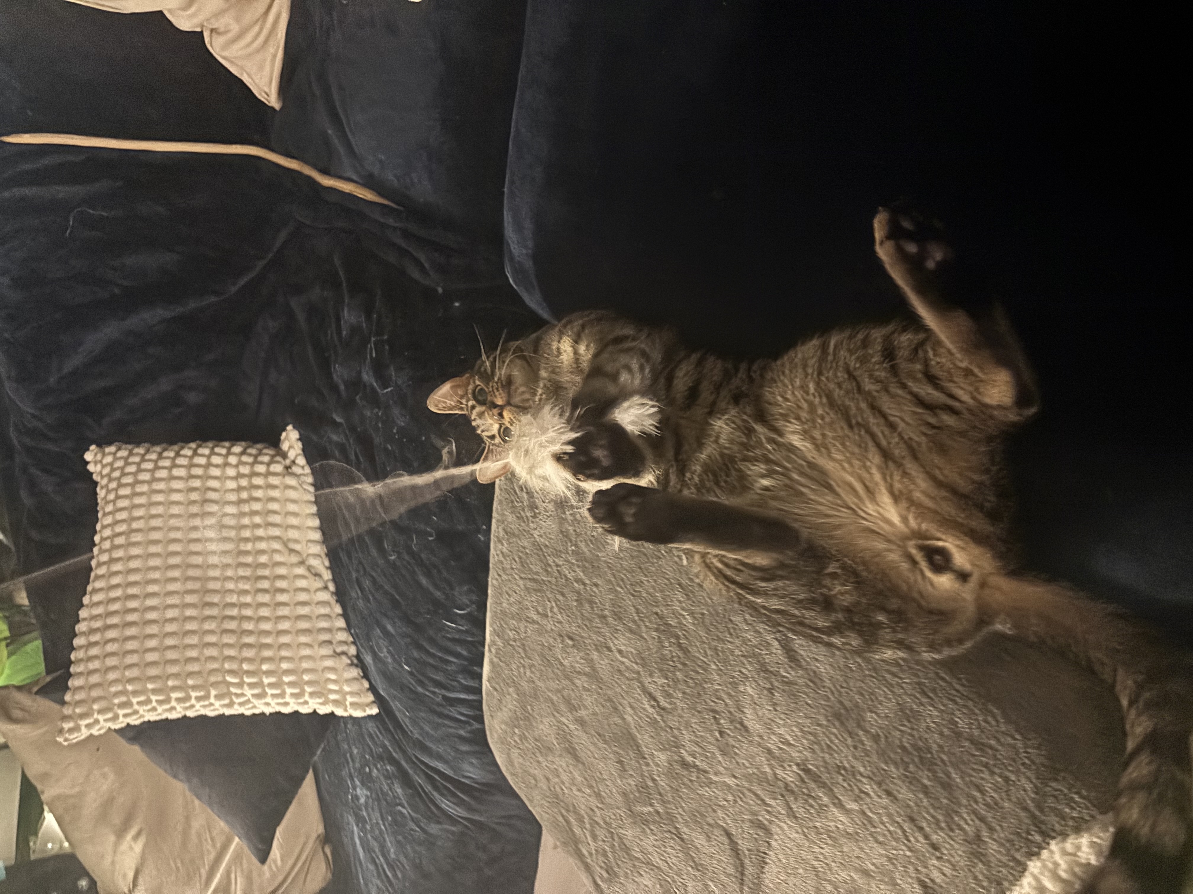 image-16
