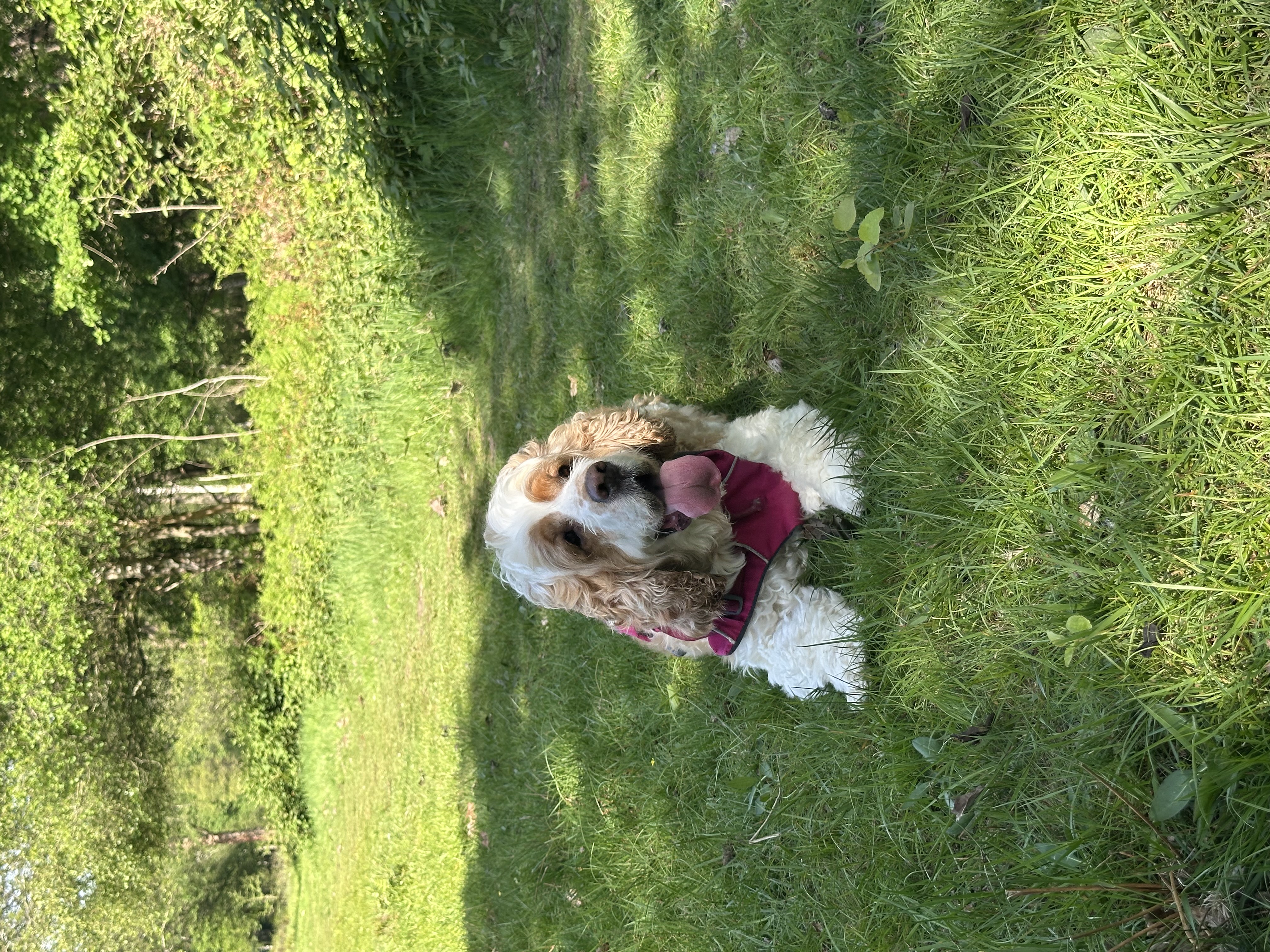 image-8