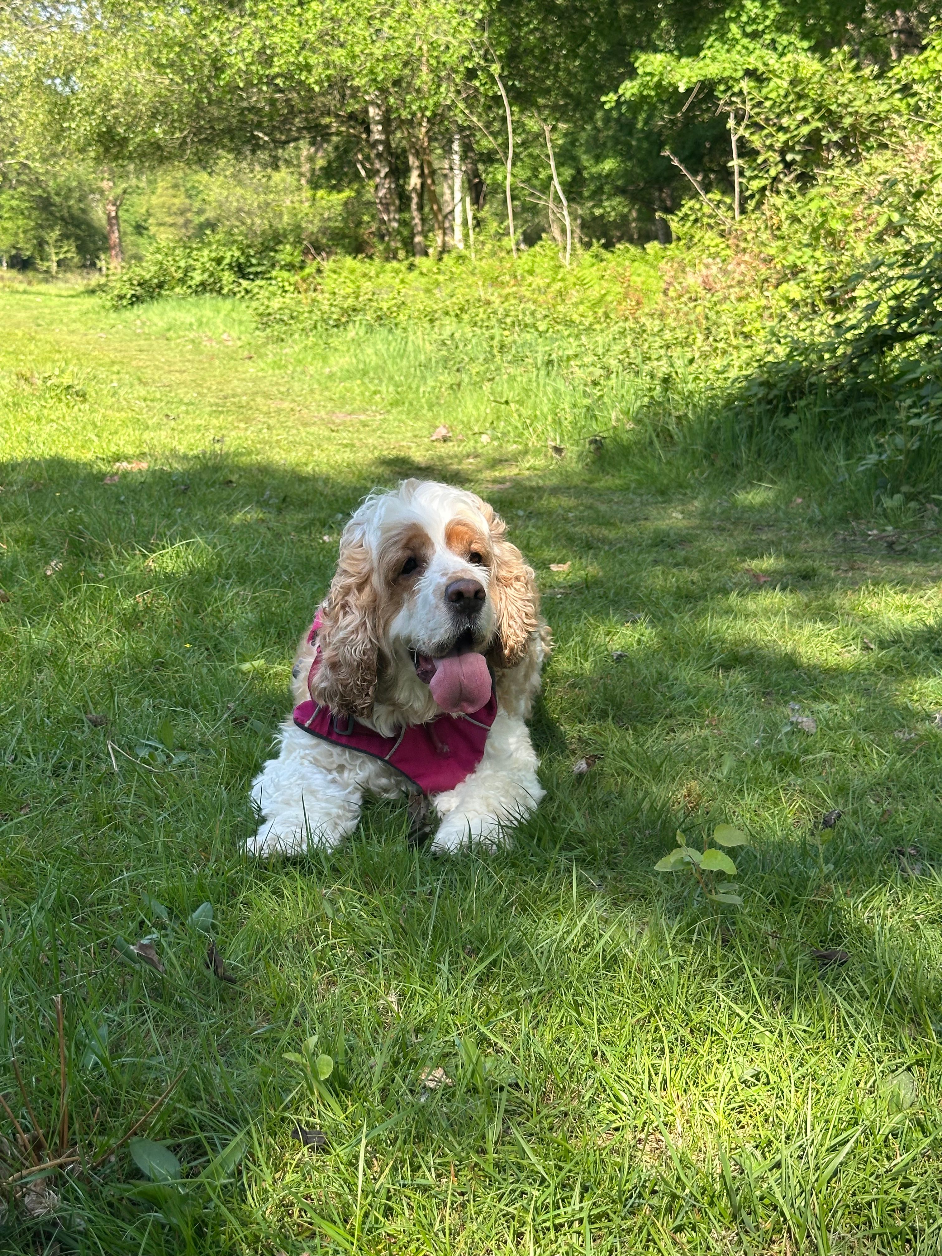 image-6