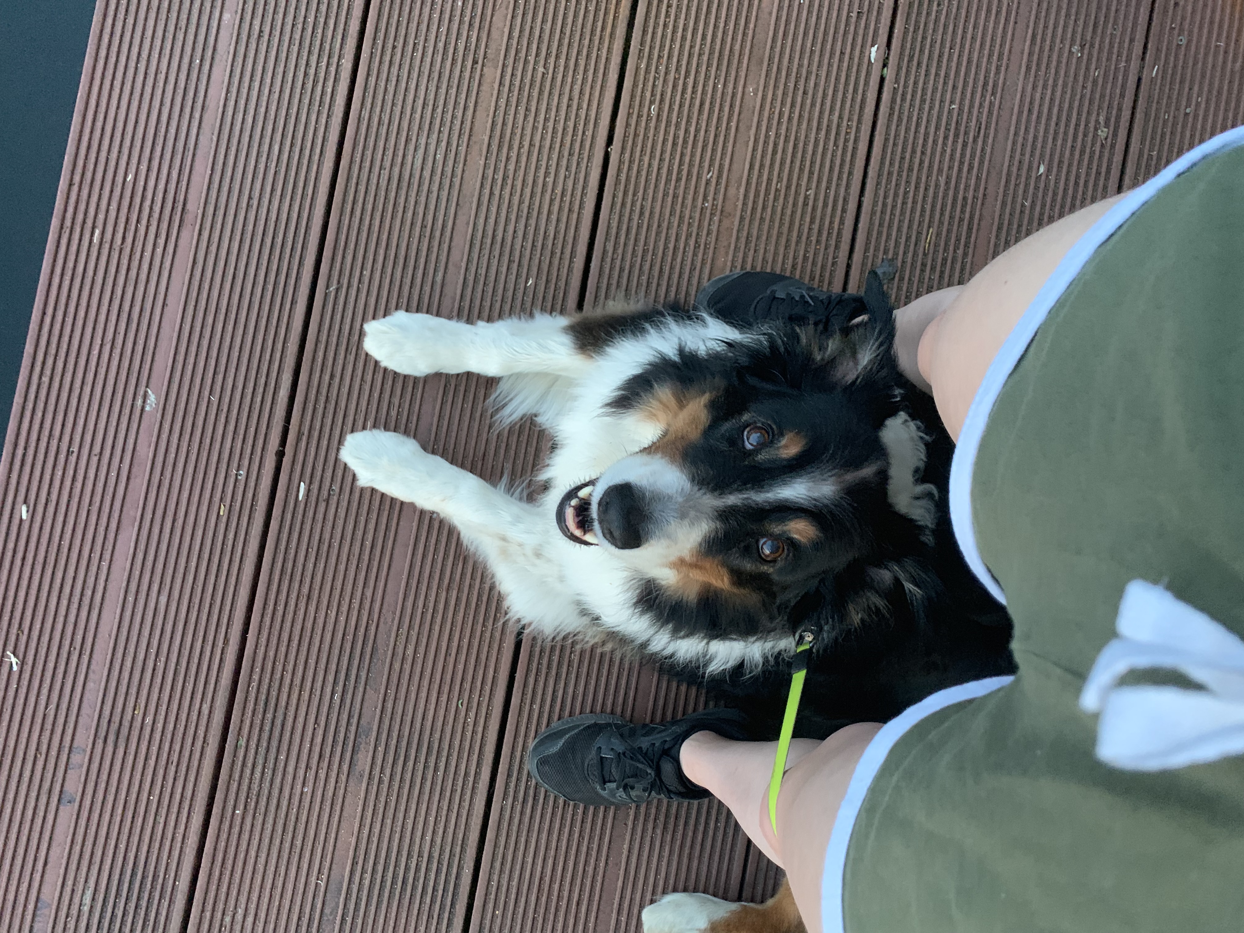 image-9