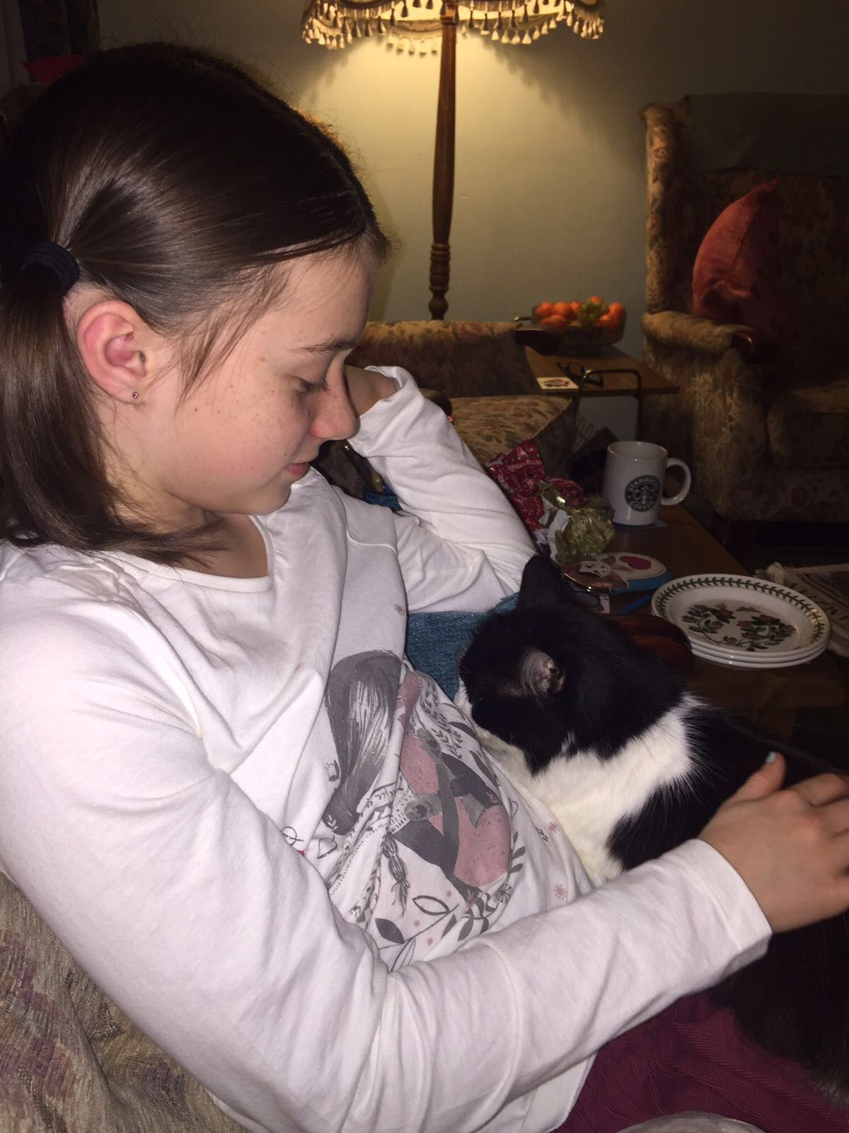 image-8