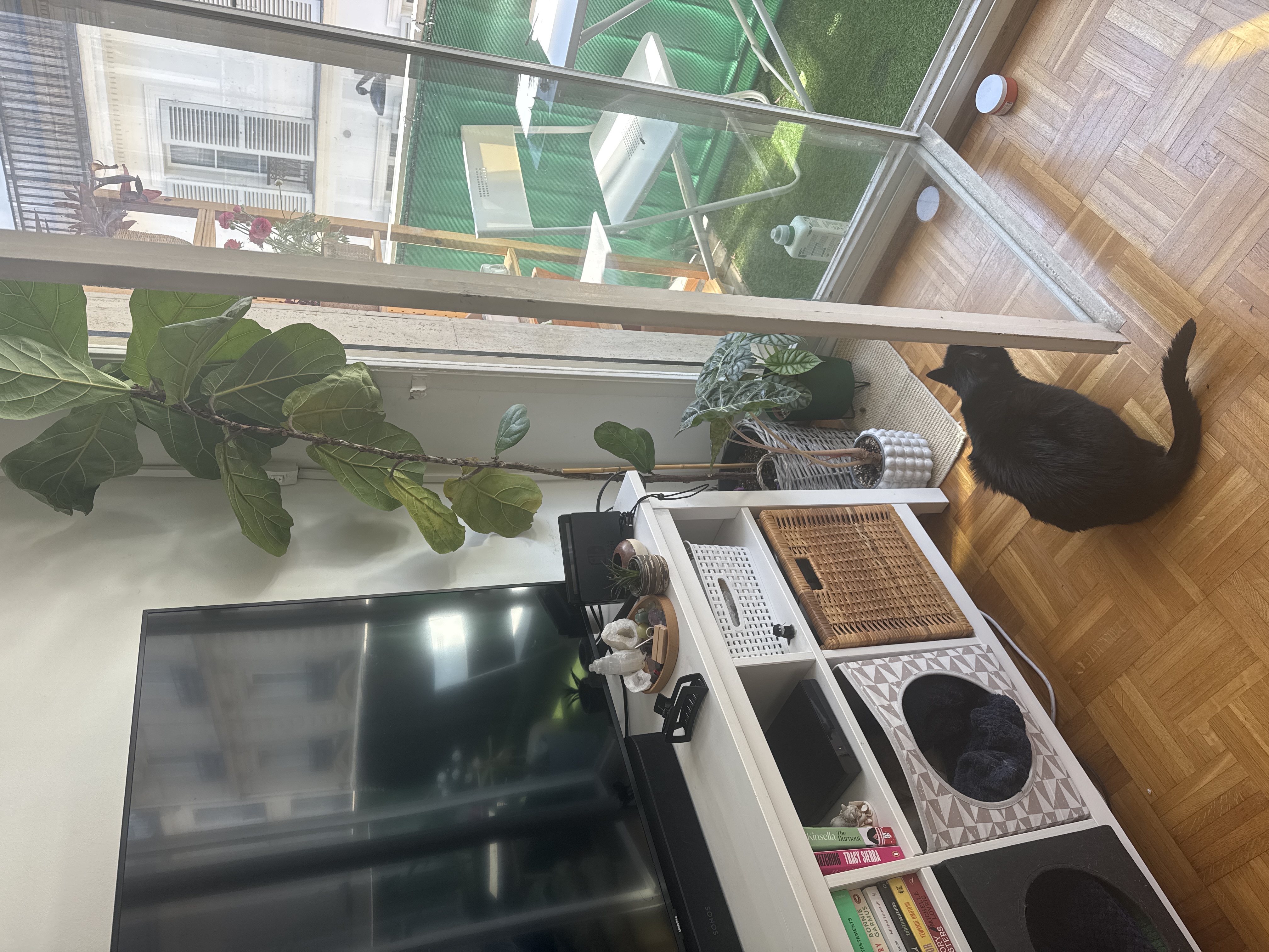 image-13