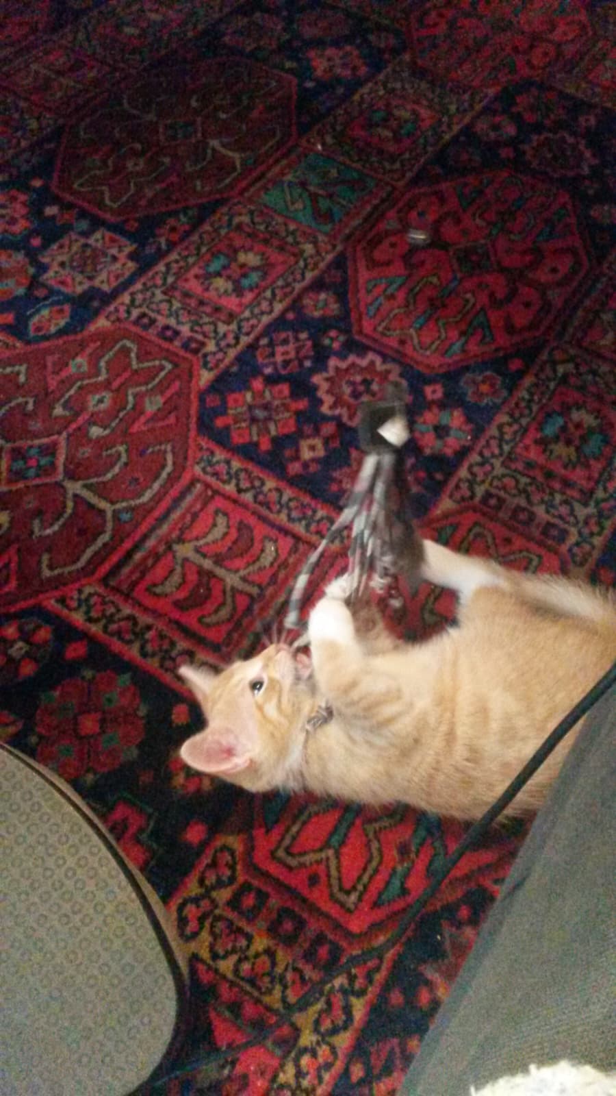 image-6